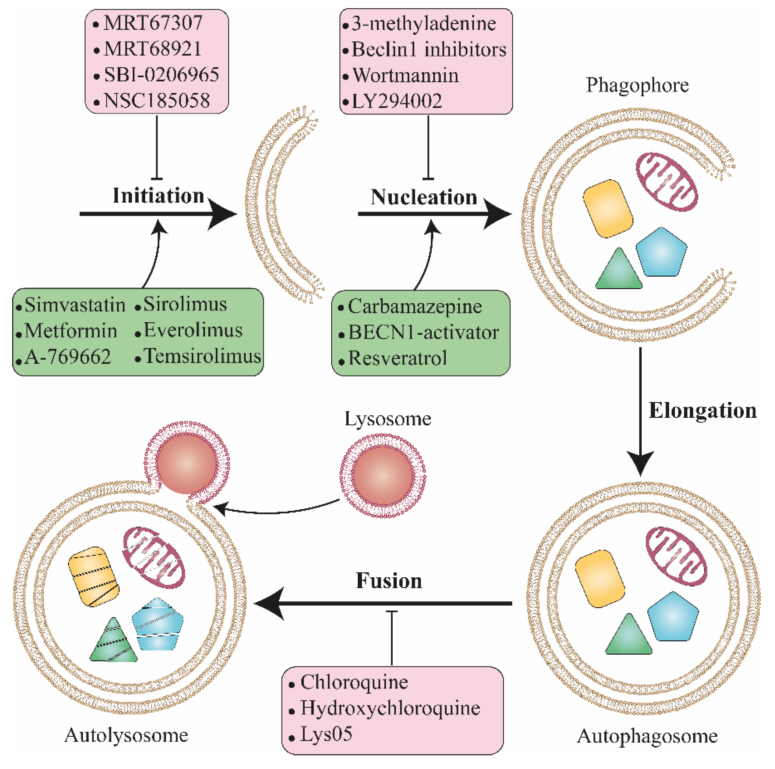 Biomolecules 09 00530 g002 Biomolecules 09 00530 g002