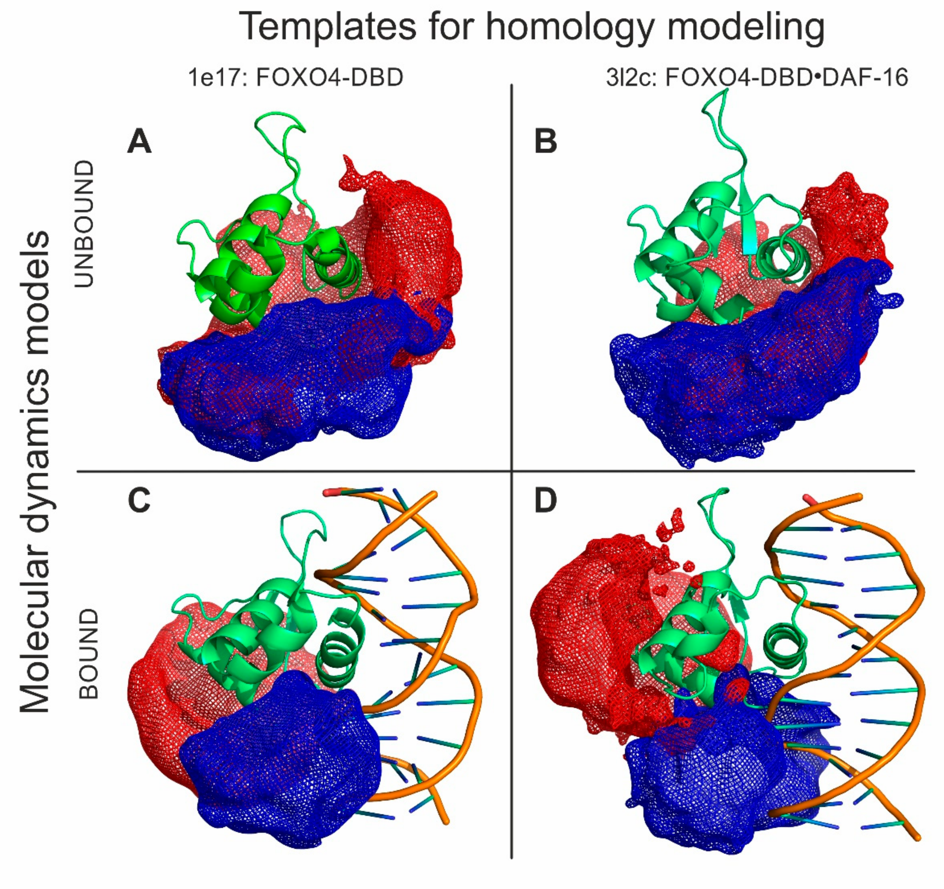 Biomolecules 09 00535 g005