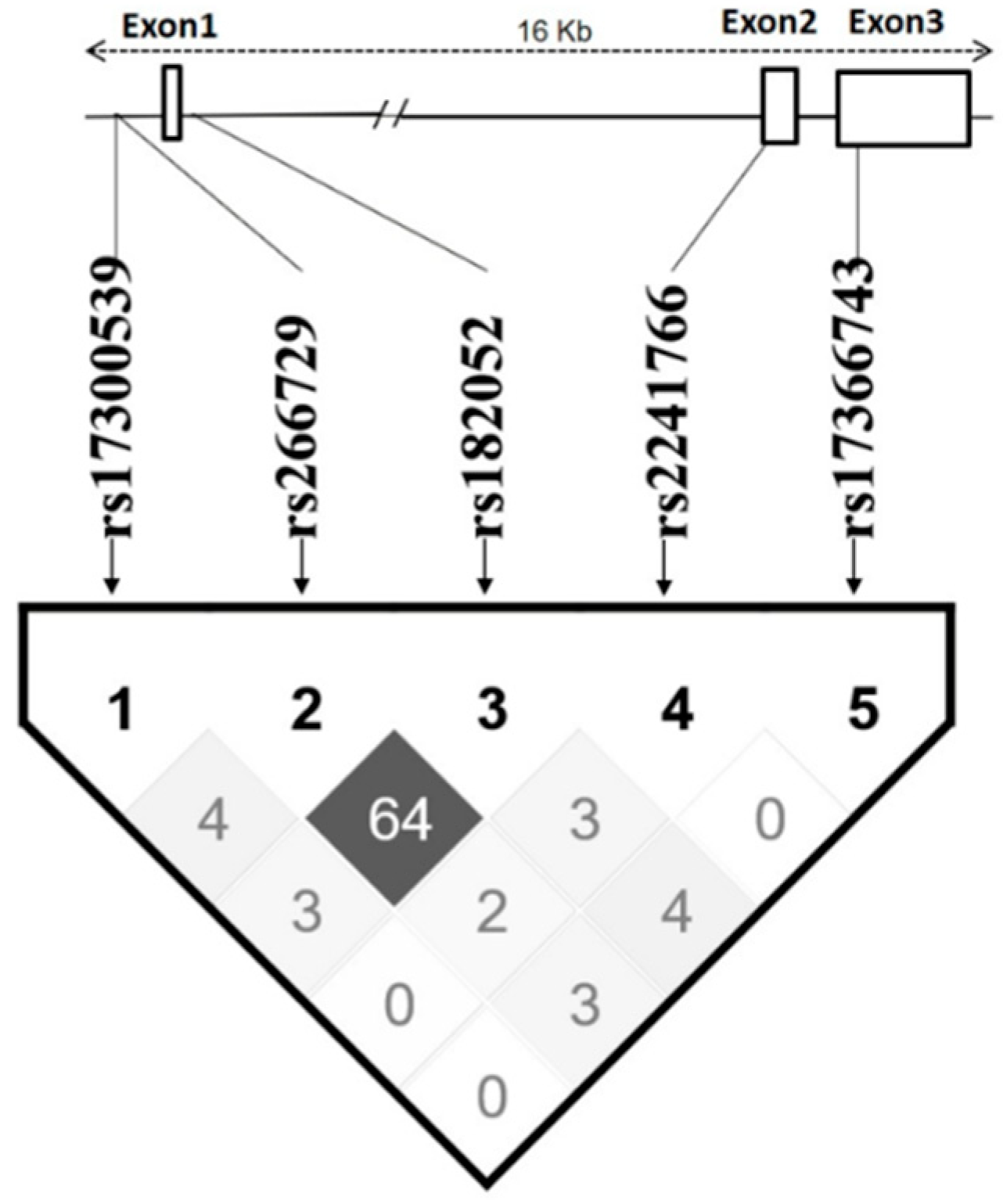 Biomolecules 09 00537 g002 Biomolecules 09 00537 g002