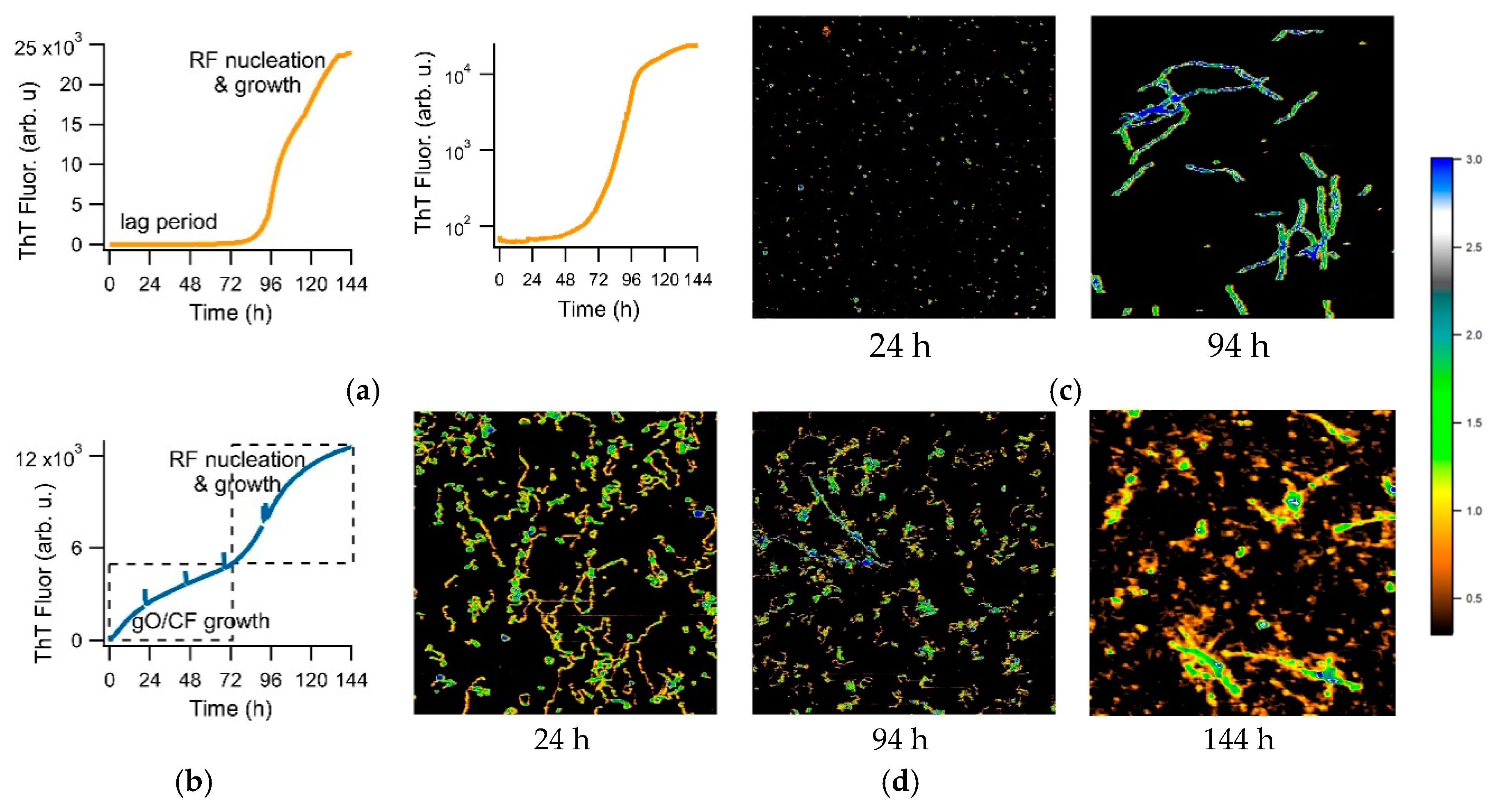 Biomolecules 09 00539 g001 Biomolecules 09 00539 g001