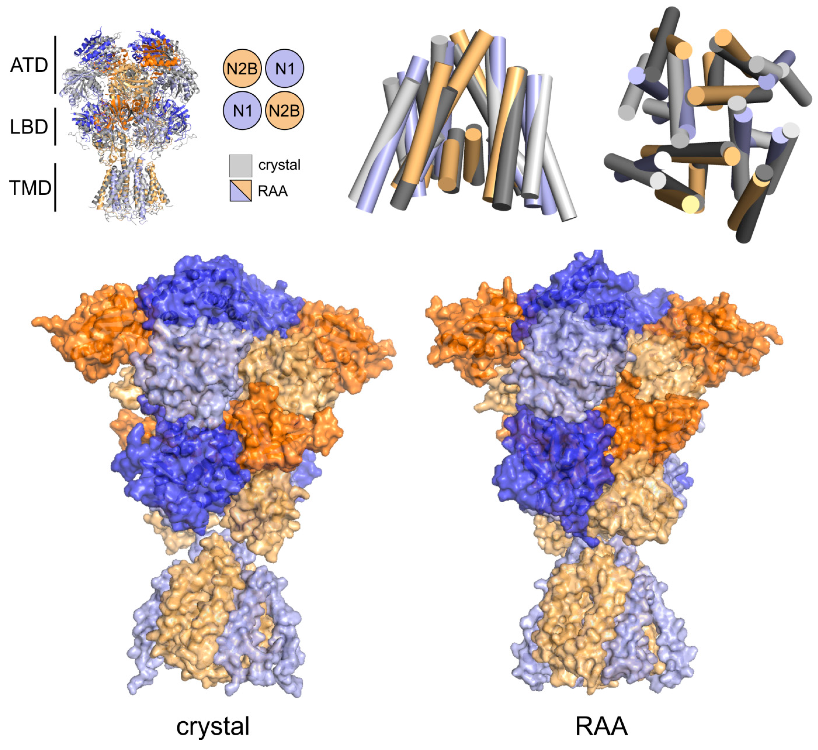 Biomolecules 09 00546 g001