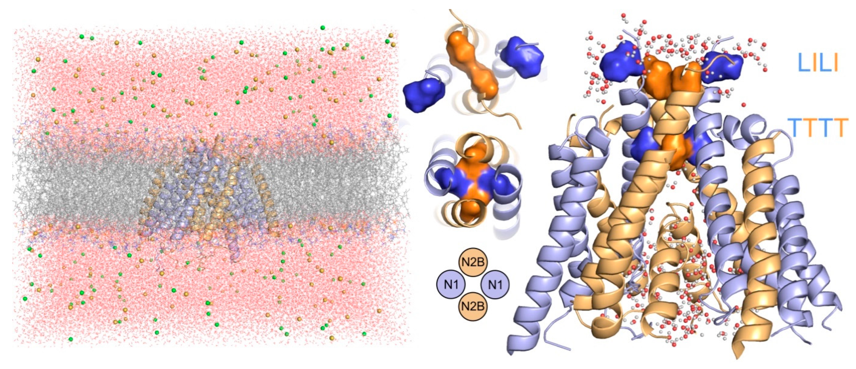 Biomolecules 09 00546 g002