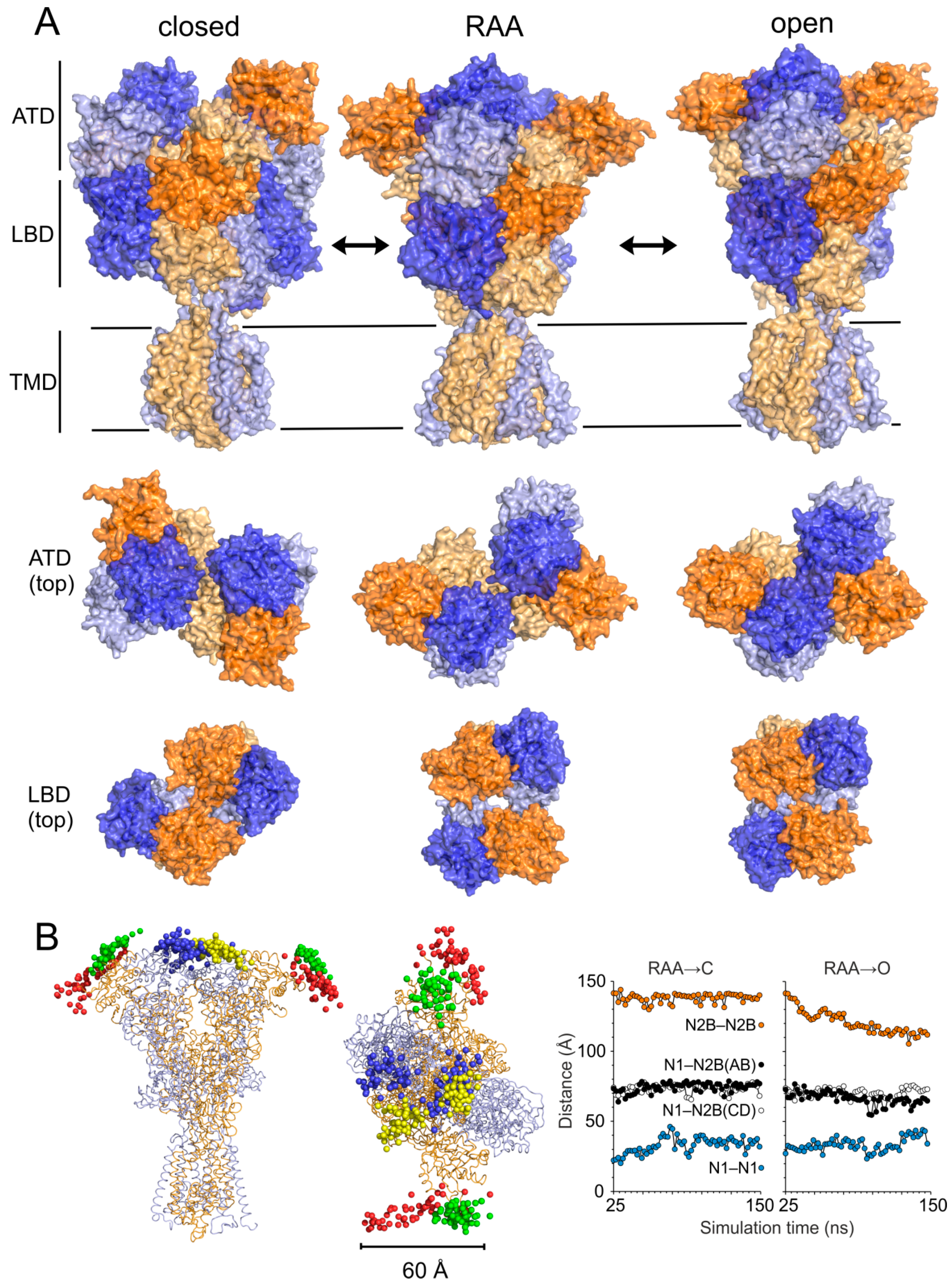 Biomolecules 09 00546 g003