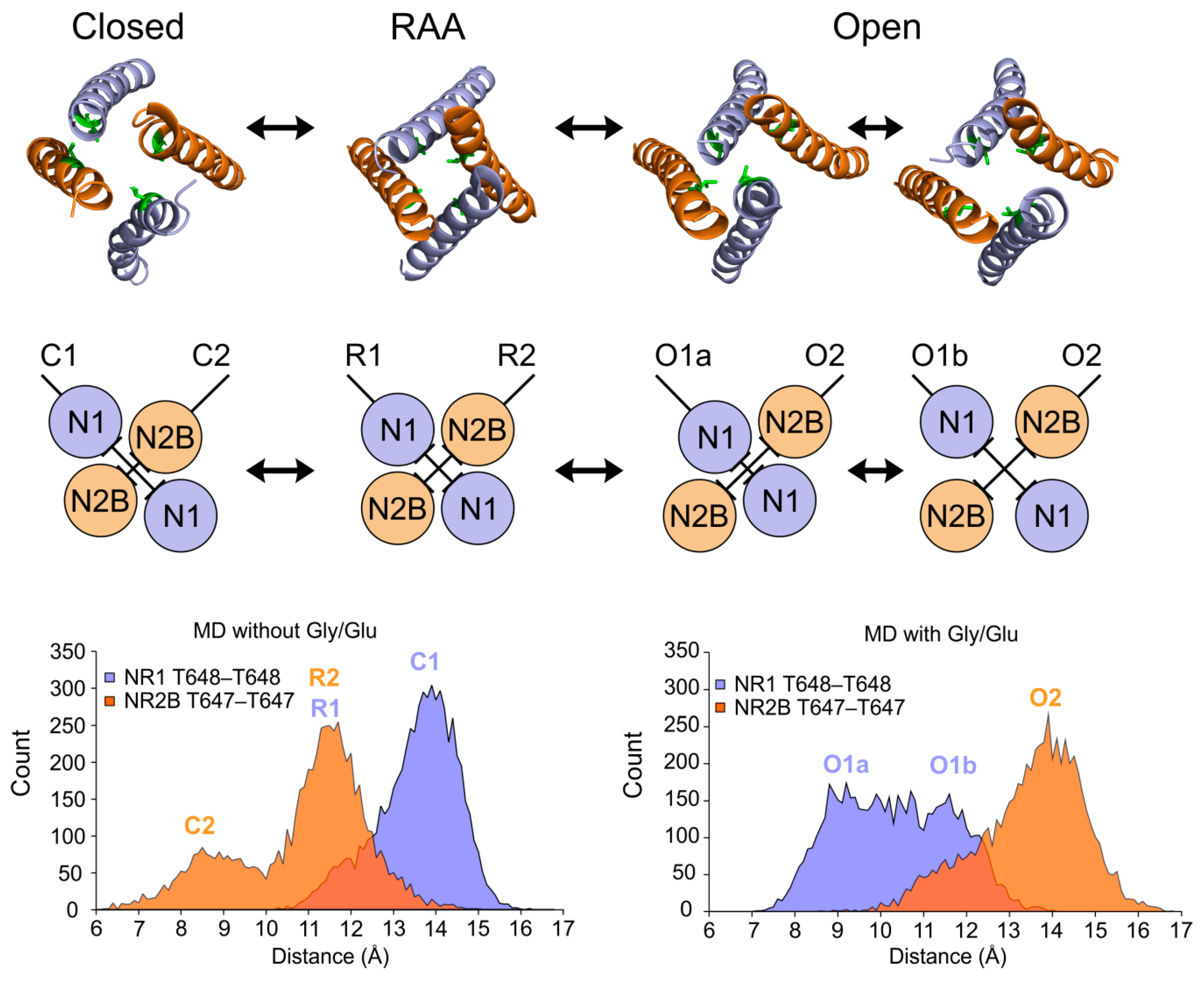 Biomolecules 09 00546 g004