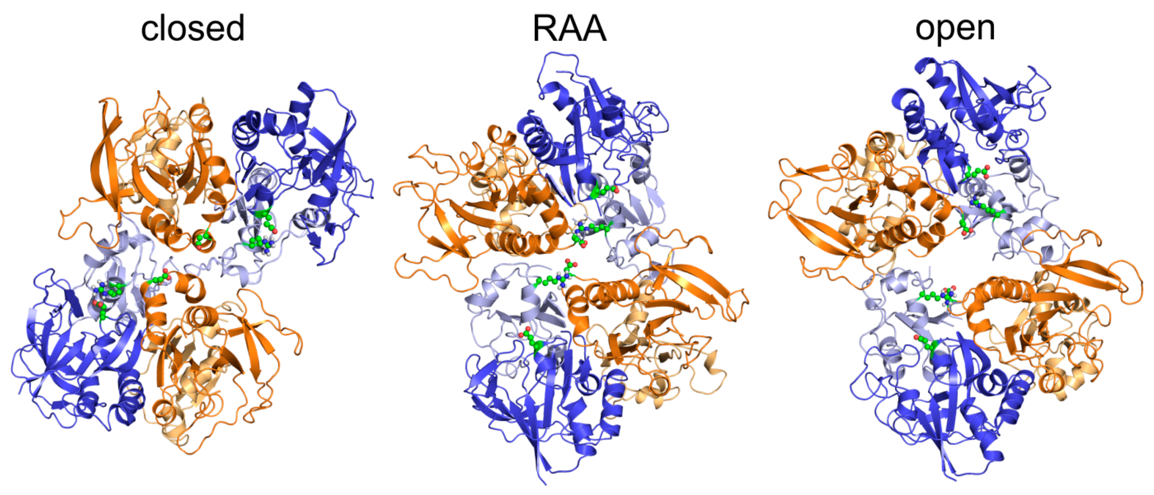 Biomolecules 09 00546 g006