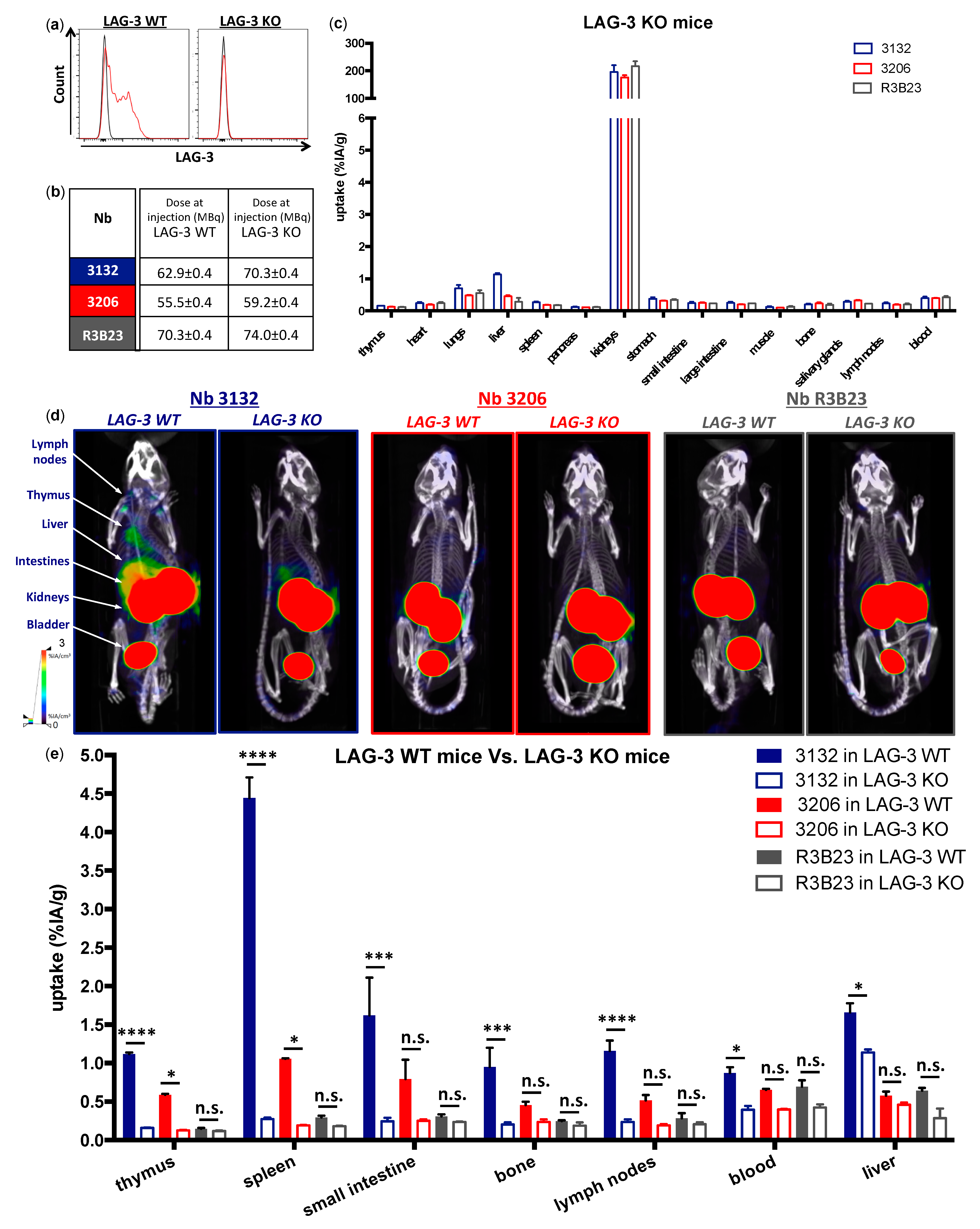 Biomolecules 09 00548 g005