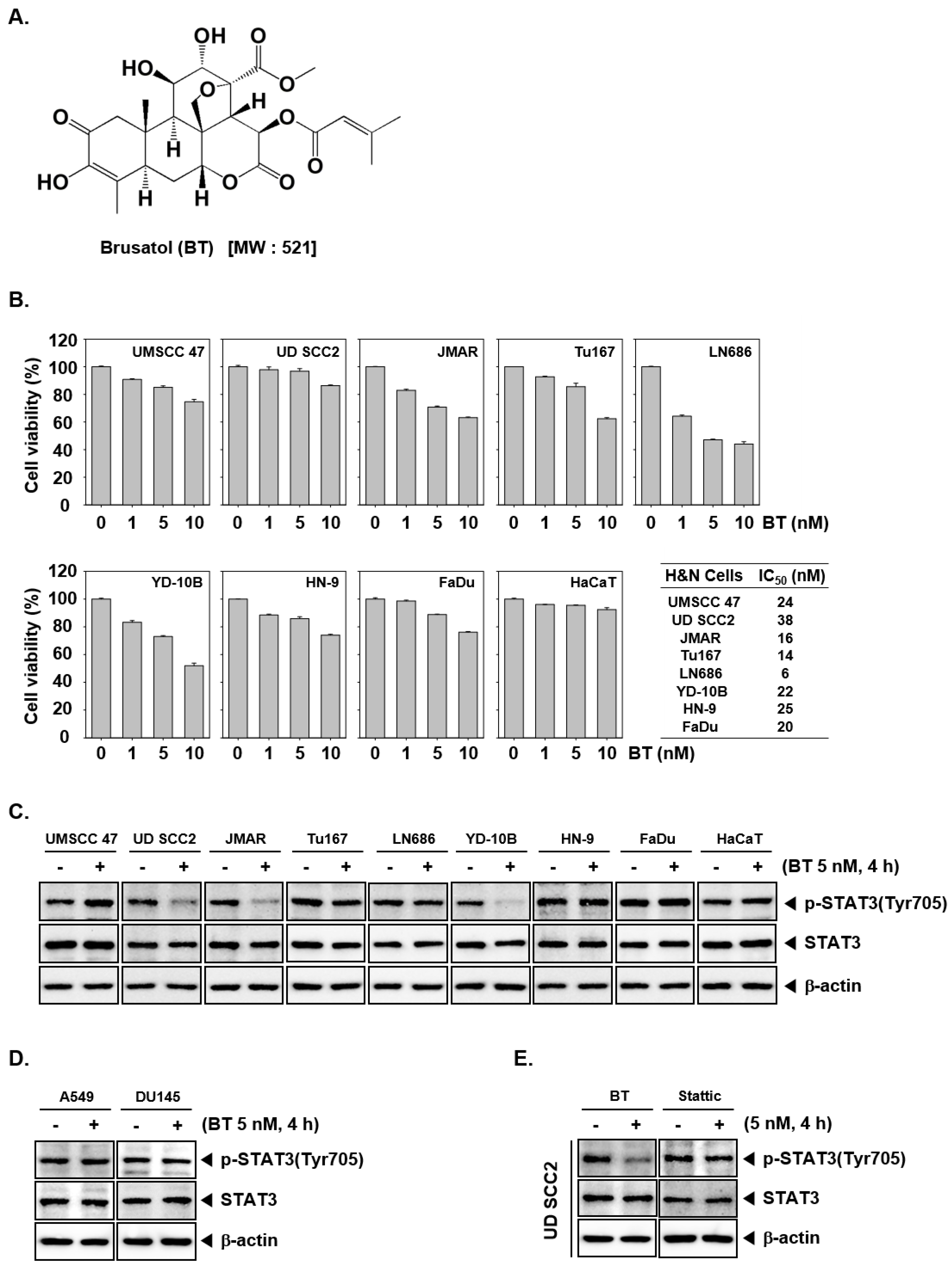 Biomolecules 09 00550 g001