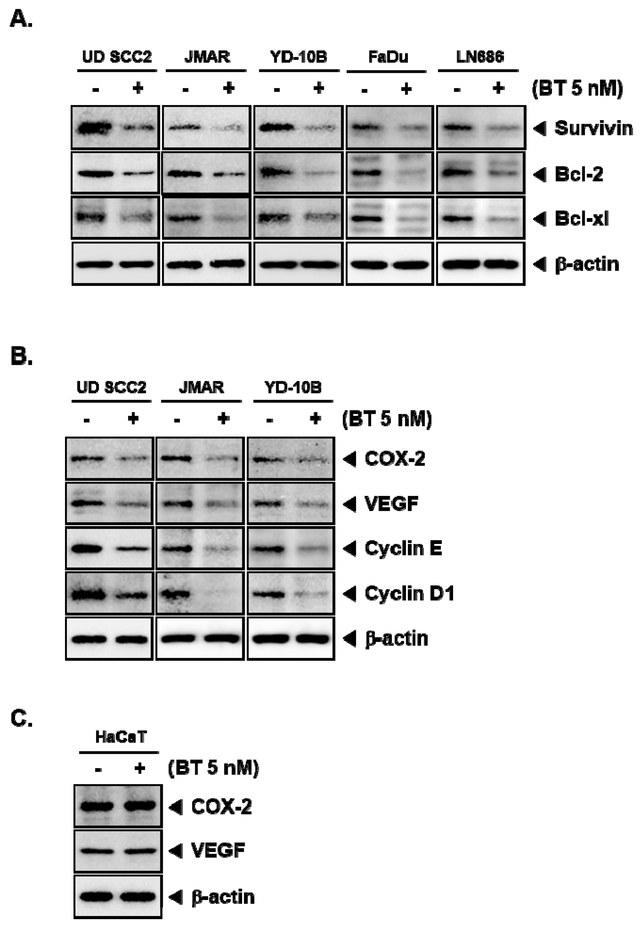 Biomolecules 09 00550 g003