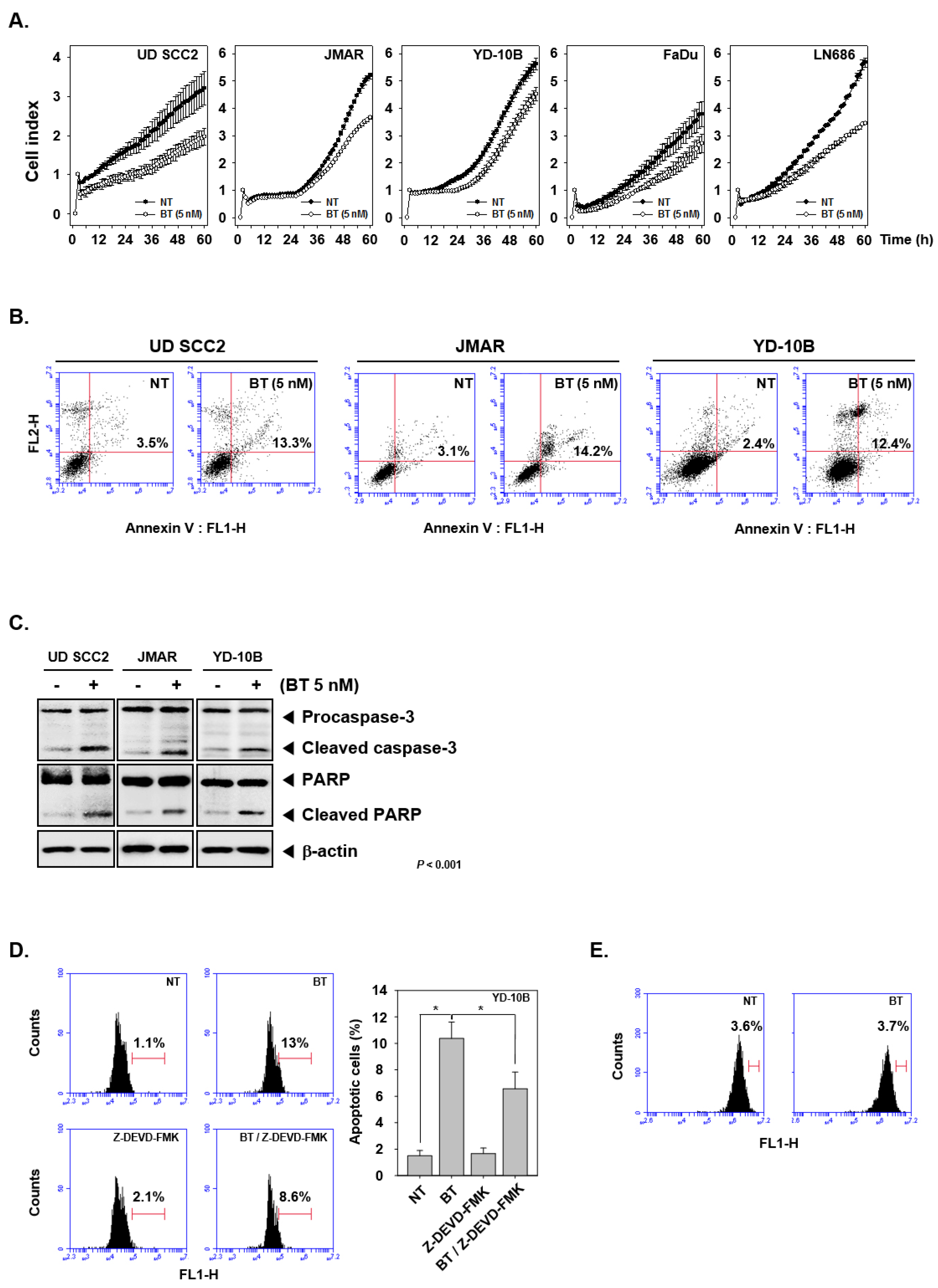 Biomolecules 09 00550 g004