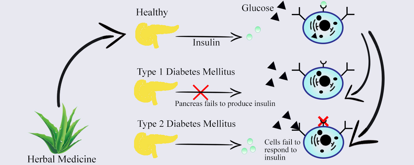 Biomolecules Free Full Text Antidiabetic Potential Of Medicinal Plants And Their Active Components Html