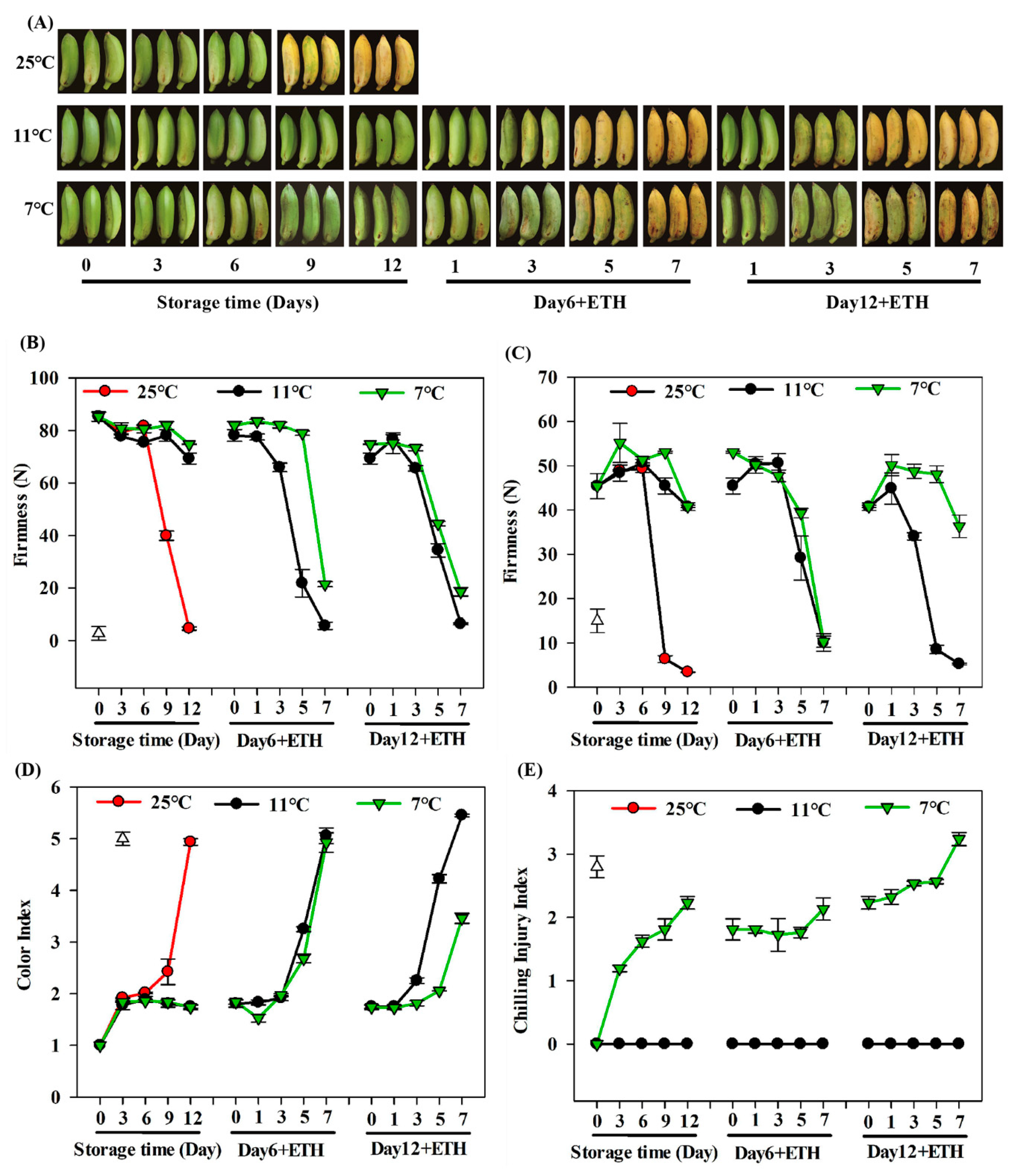 Biomolecules 09 00552 g001
