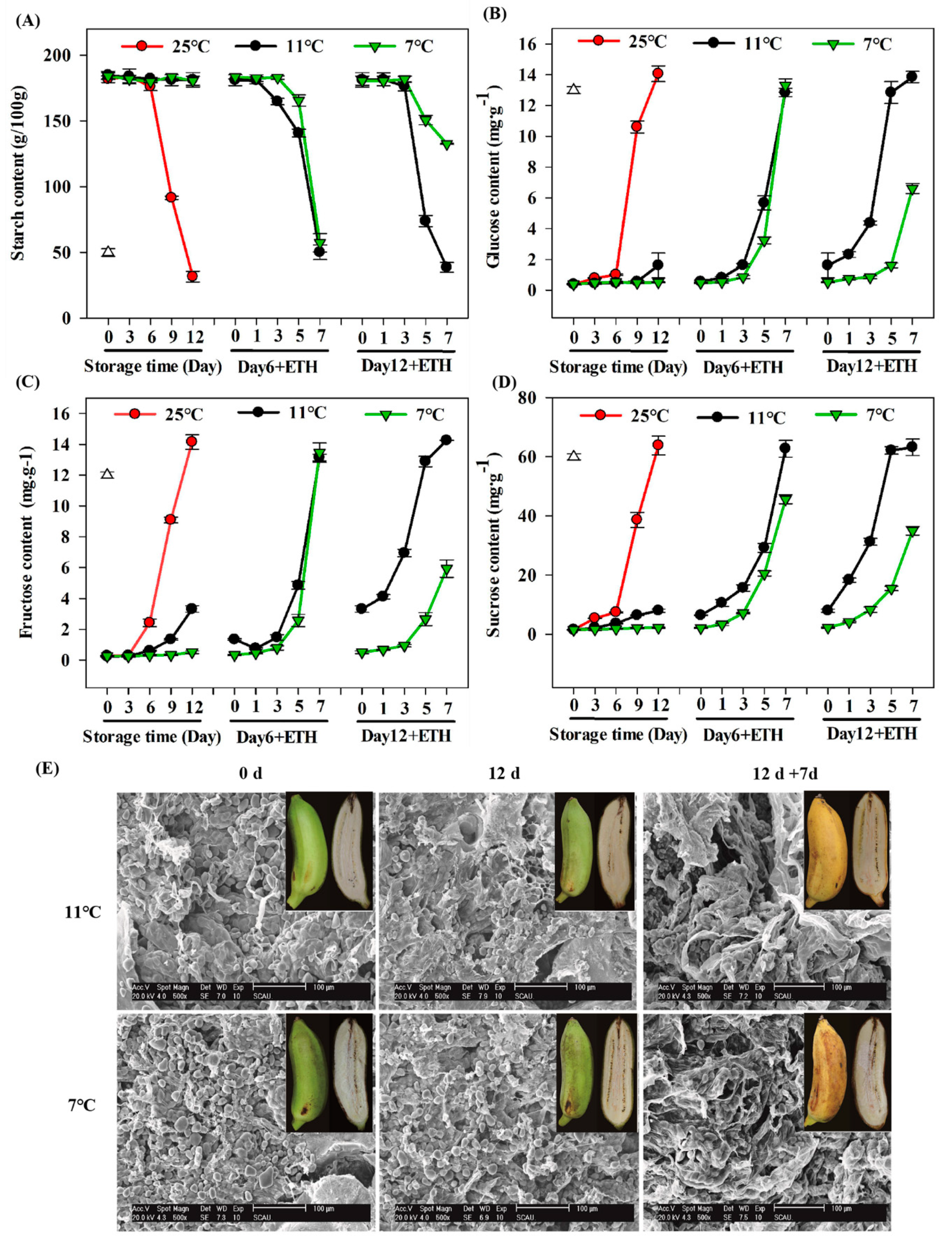 Biomolecules 09 00552 g002