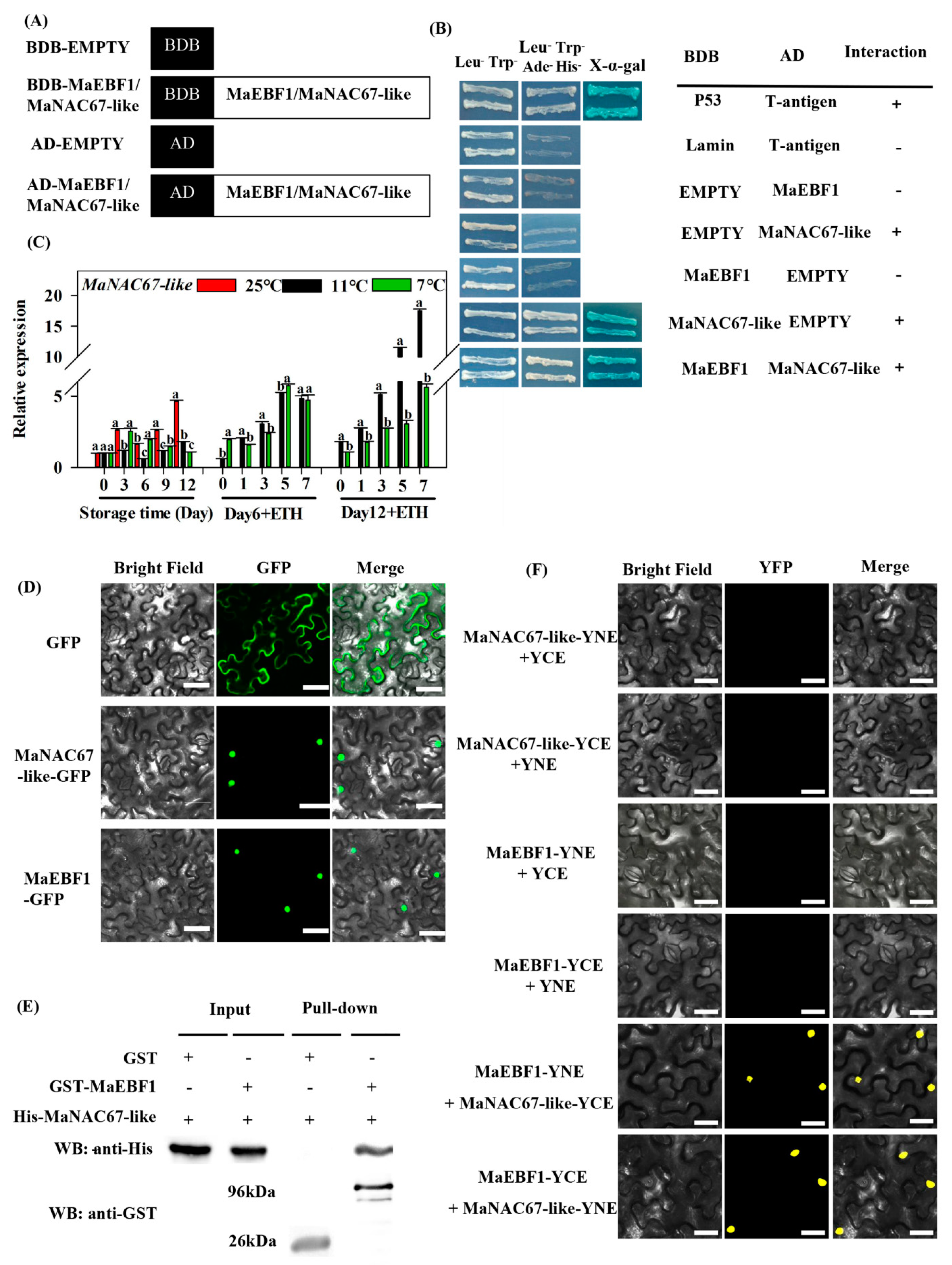 Biomolecules 09 00552 g004