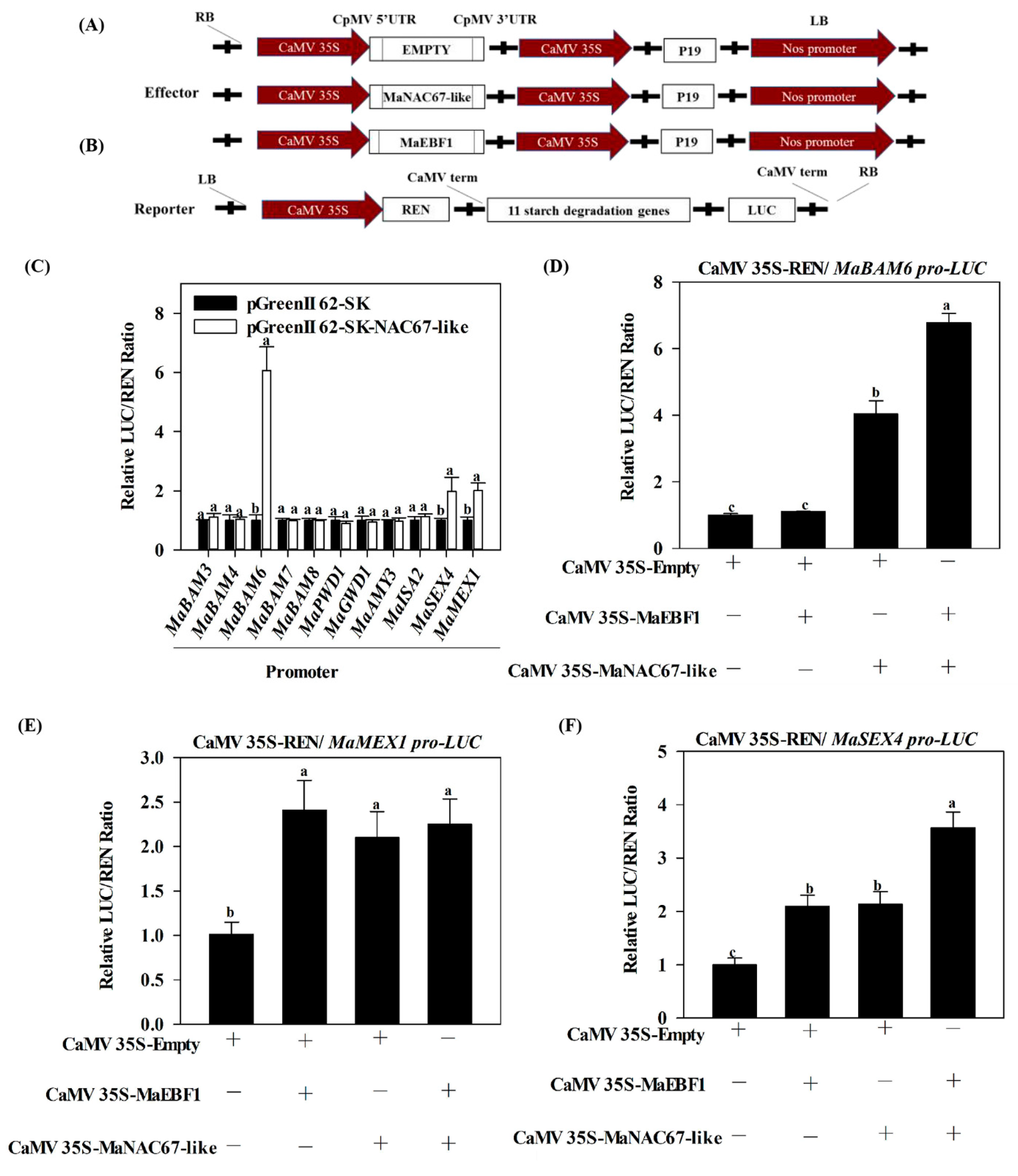 Biomolecules 09 00552 g005