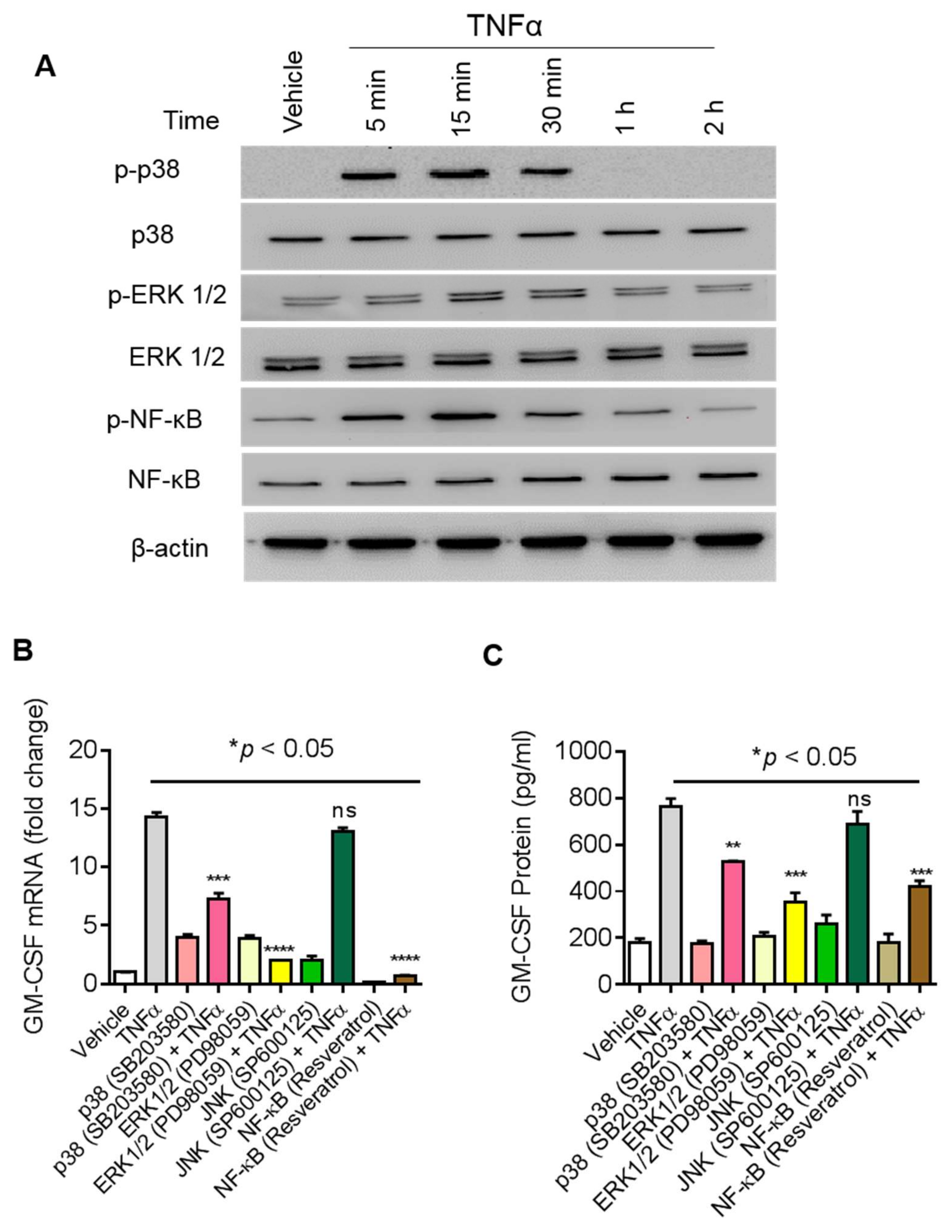Biomolecules 09 00555 g004