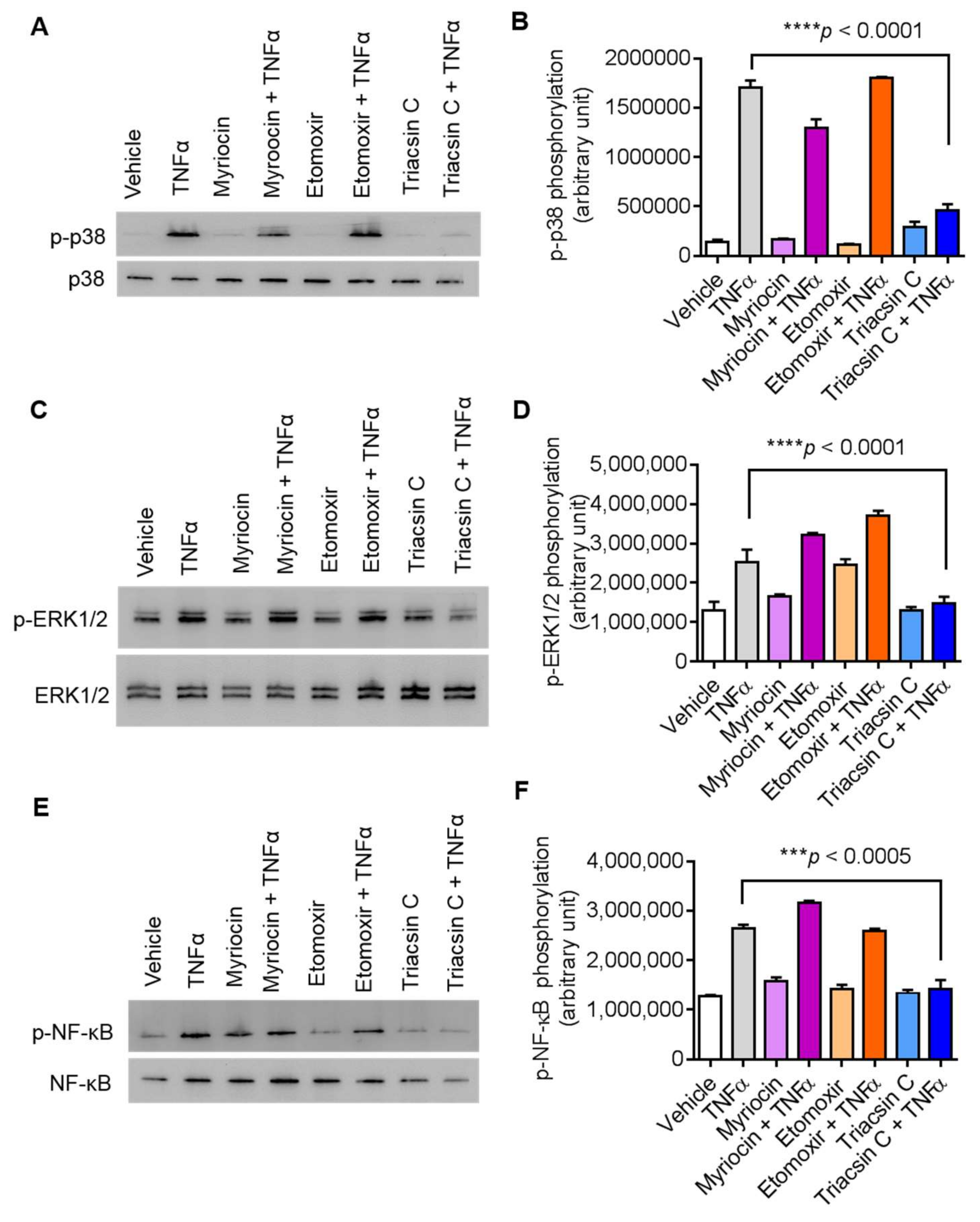 Biomolecules 09 00555 g005