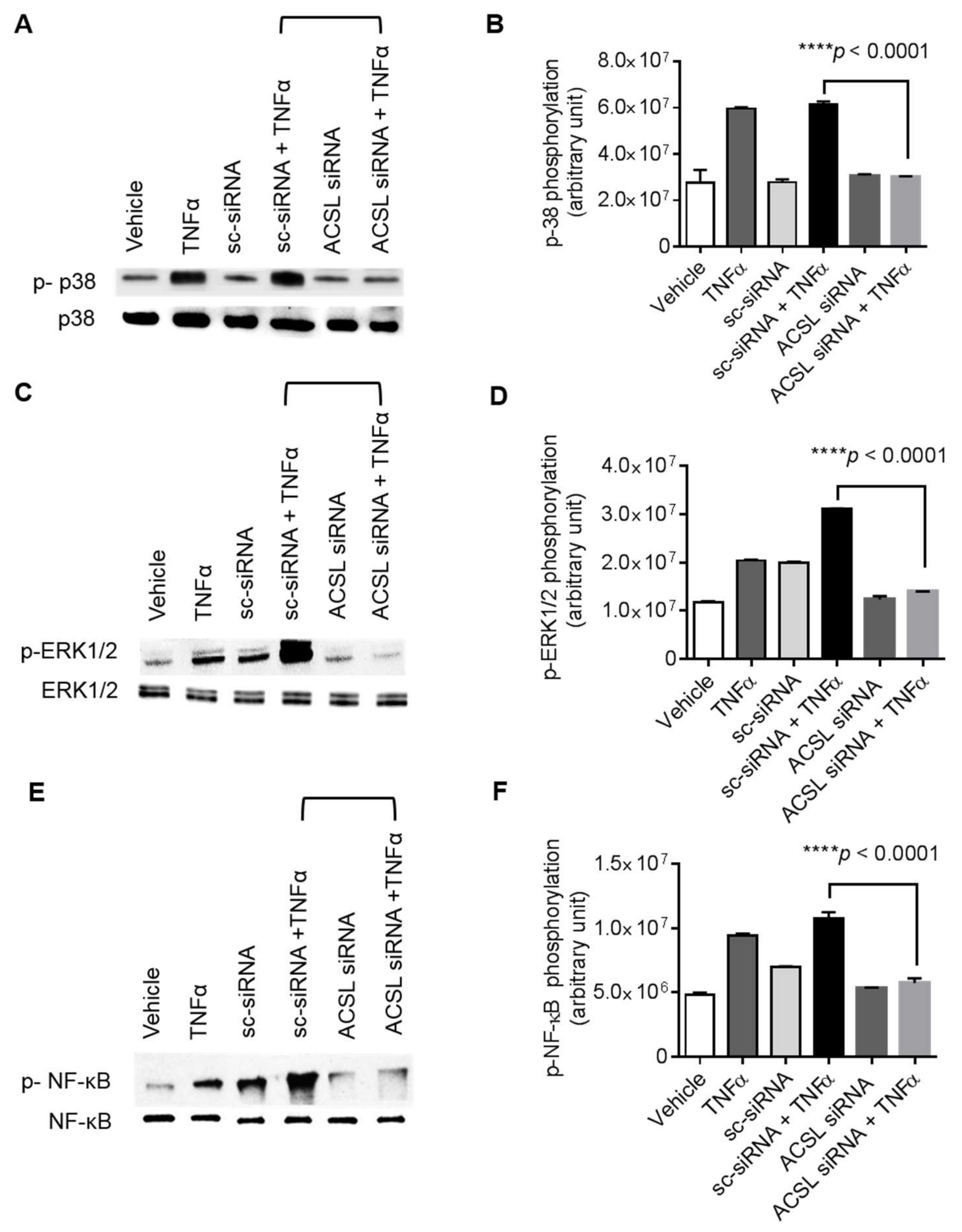 Biomolecules 09 00555 g006