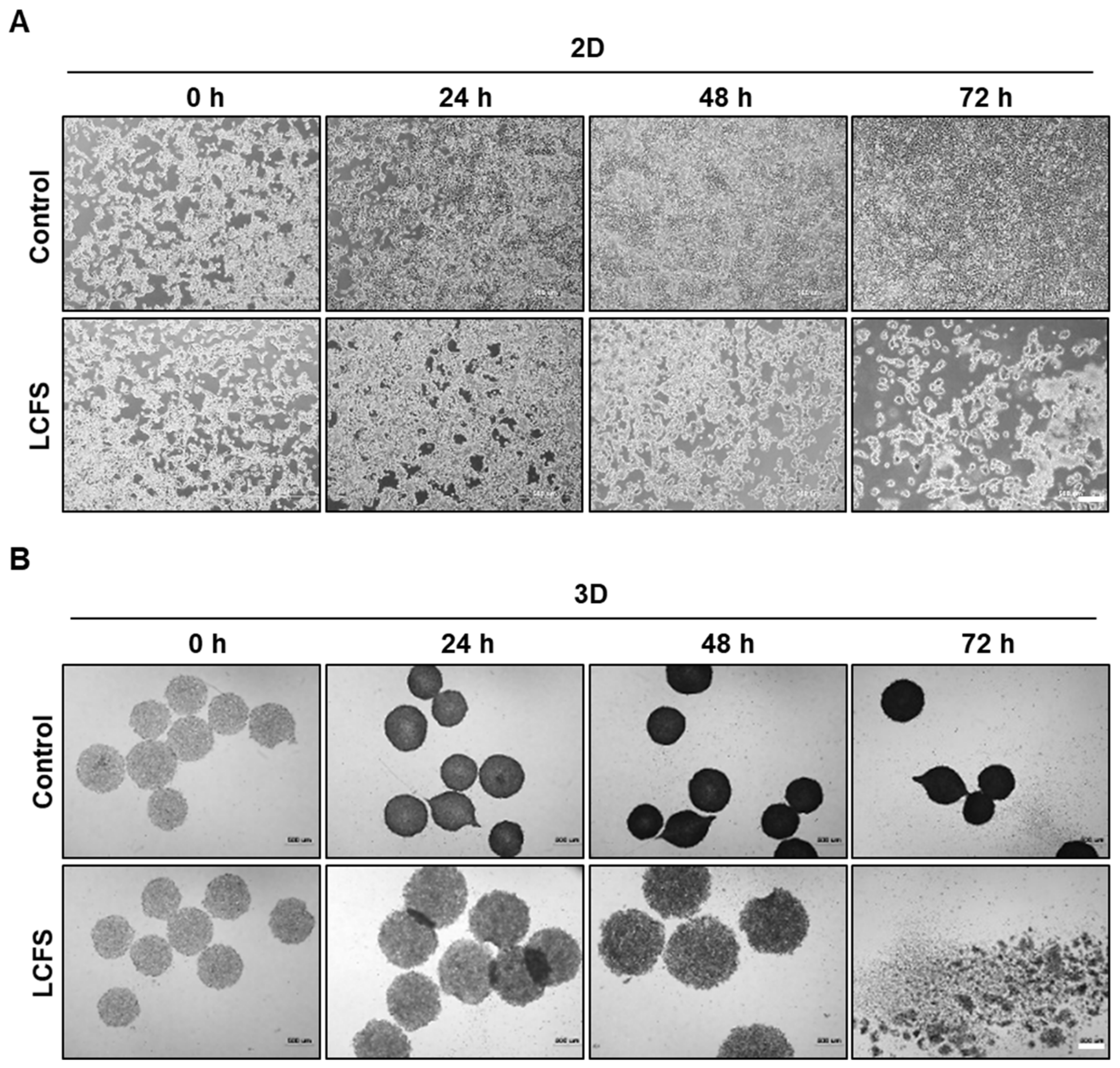 Biomolecules 09 00557 g002
