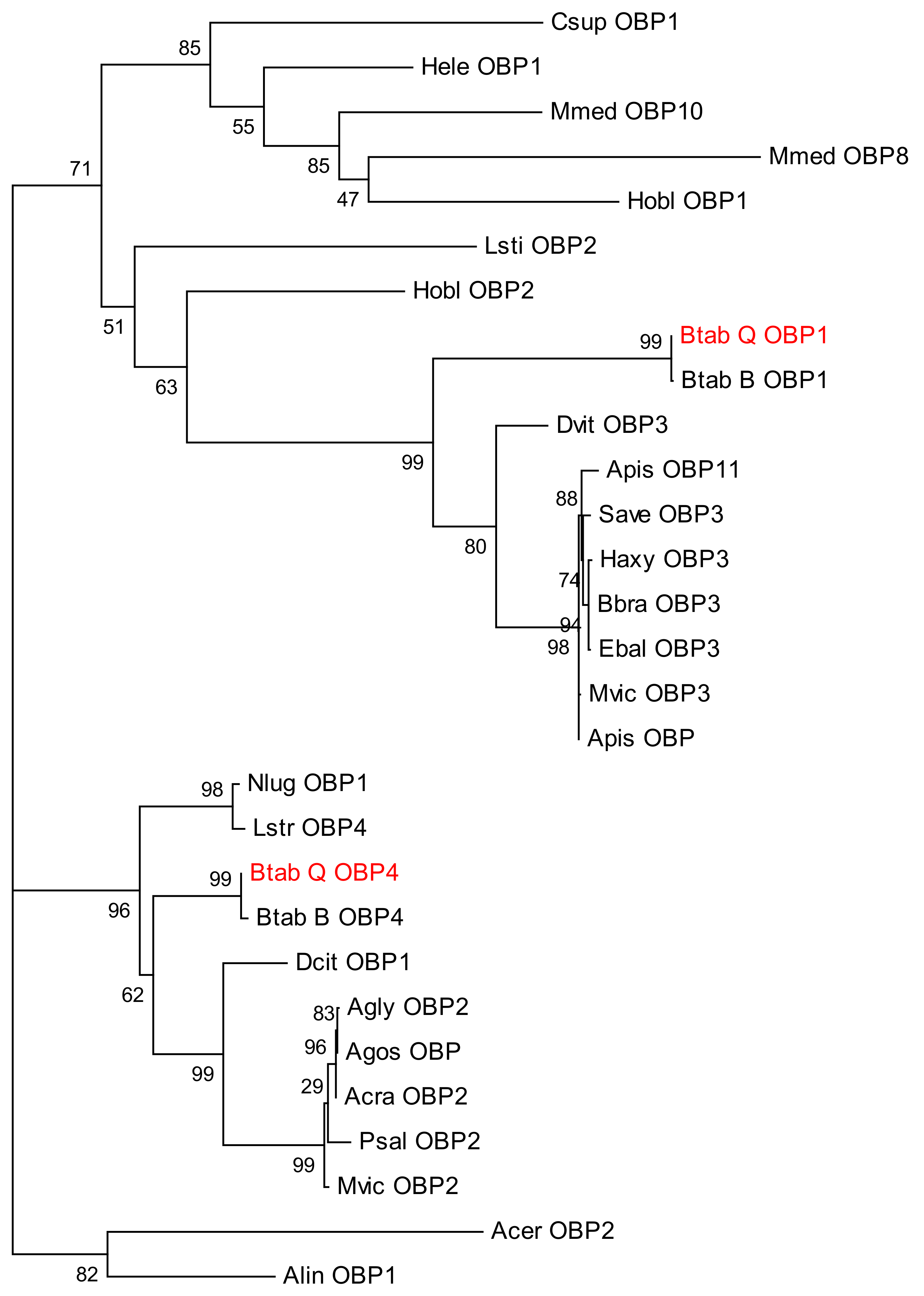 Biomolecules 09 00563 g003 Biomolecules 09 00563 g003