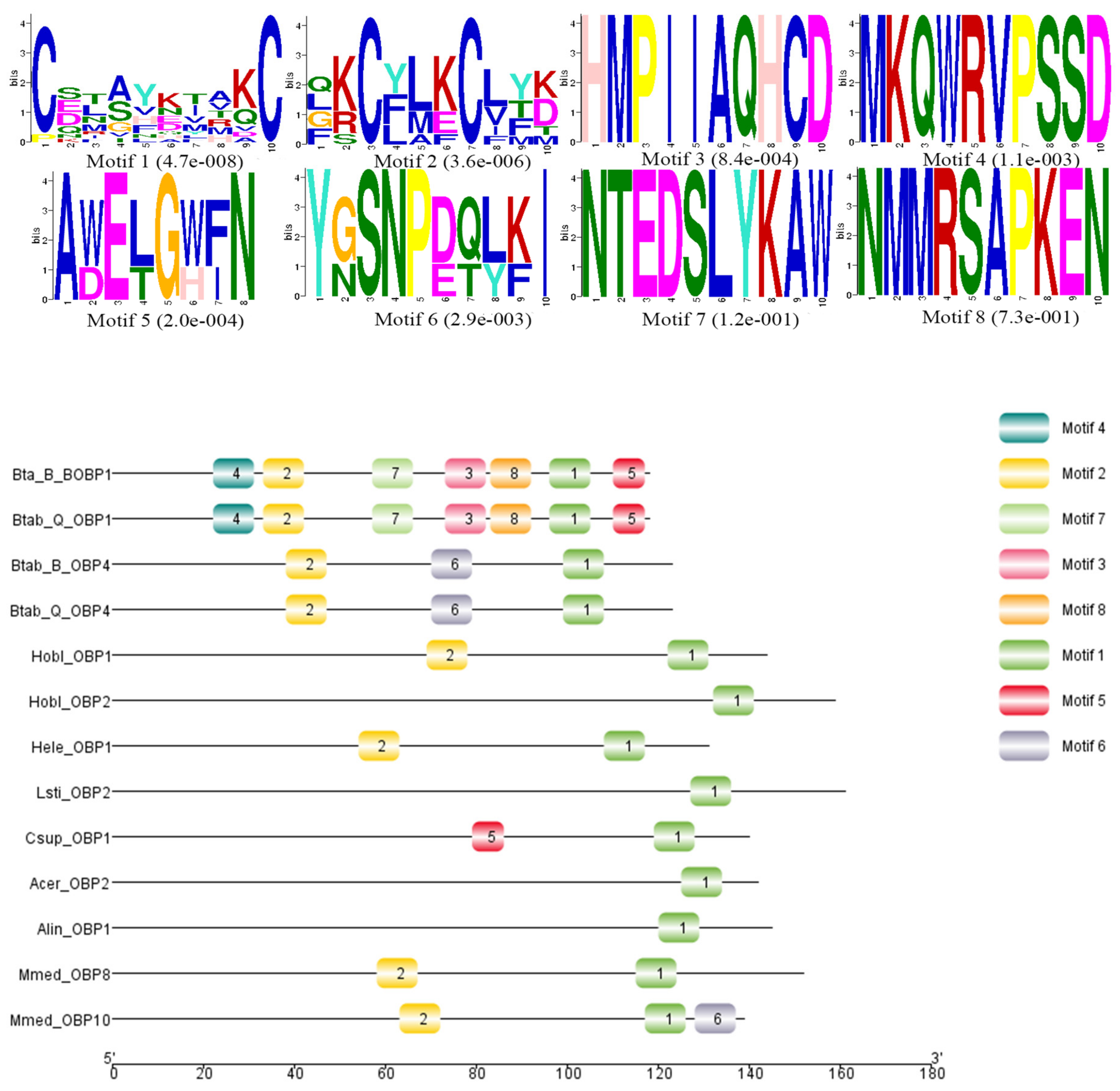 Biomolecules 09 00563 g004 Biomolecules 09 00563 g004