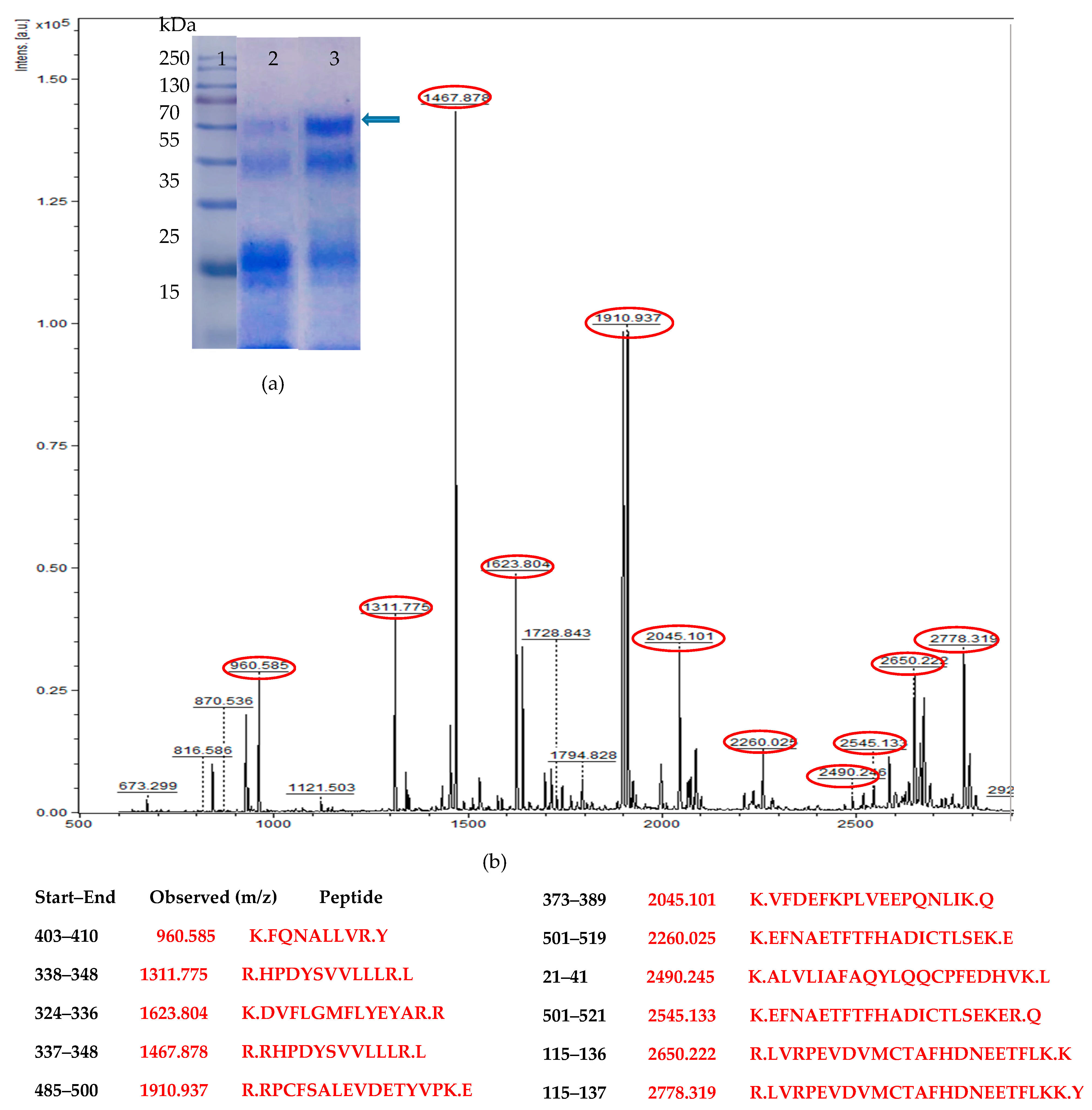 Biomolecules 09 00568 g002 Biomolecules 09 00568 g002