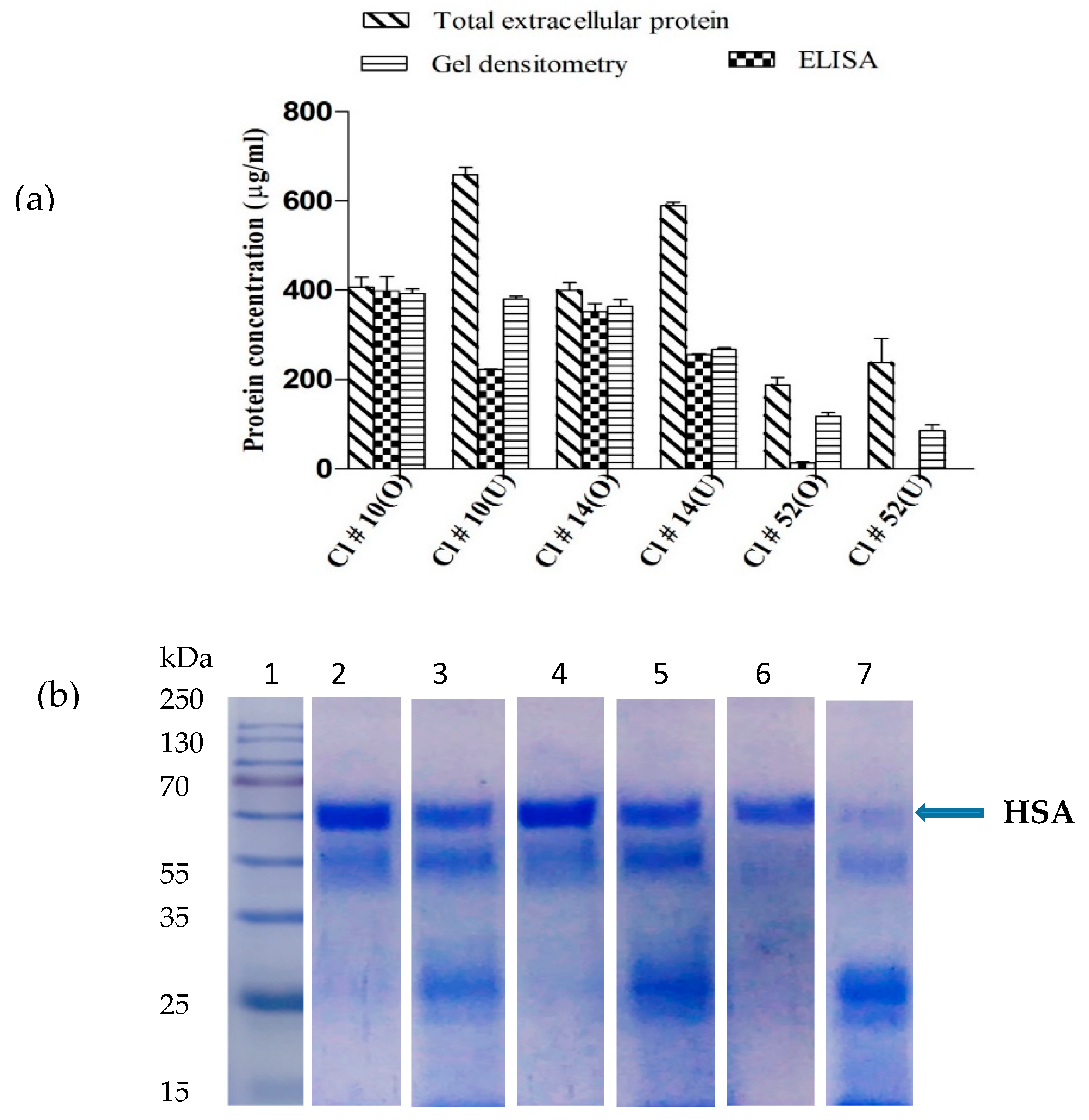 Biomolecules 09 00568 g005 Biomolecules 09 00568 g005