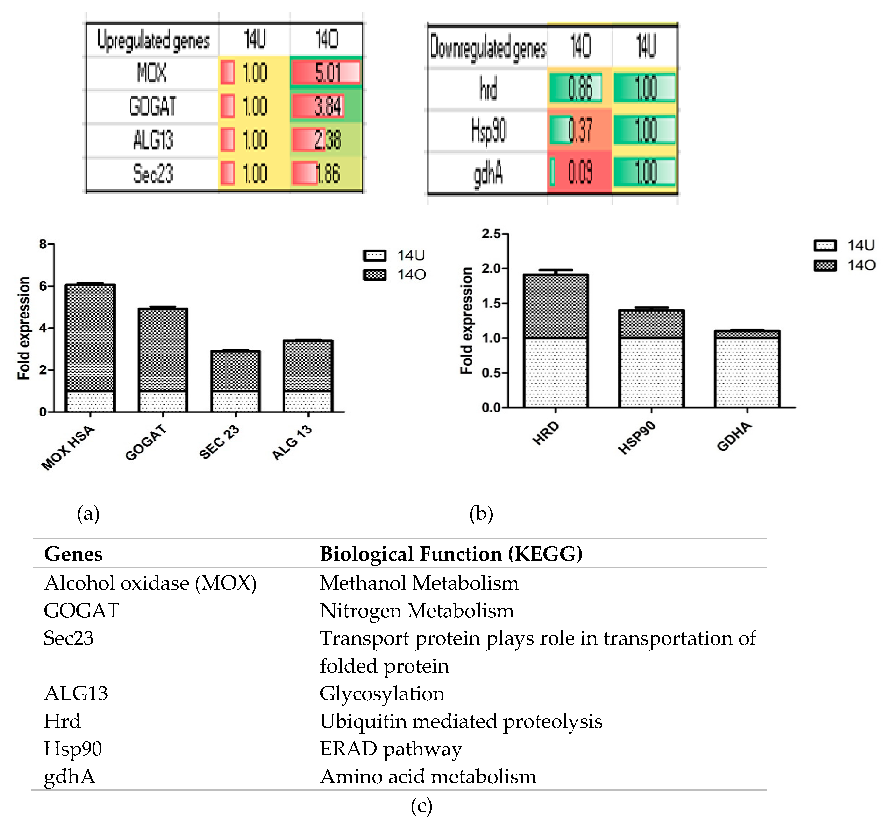 Biomolecules 09 00568 g009 Biomolecules 09 00568 g009