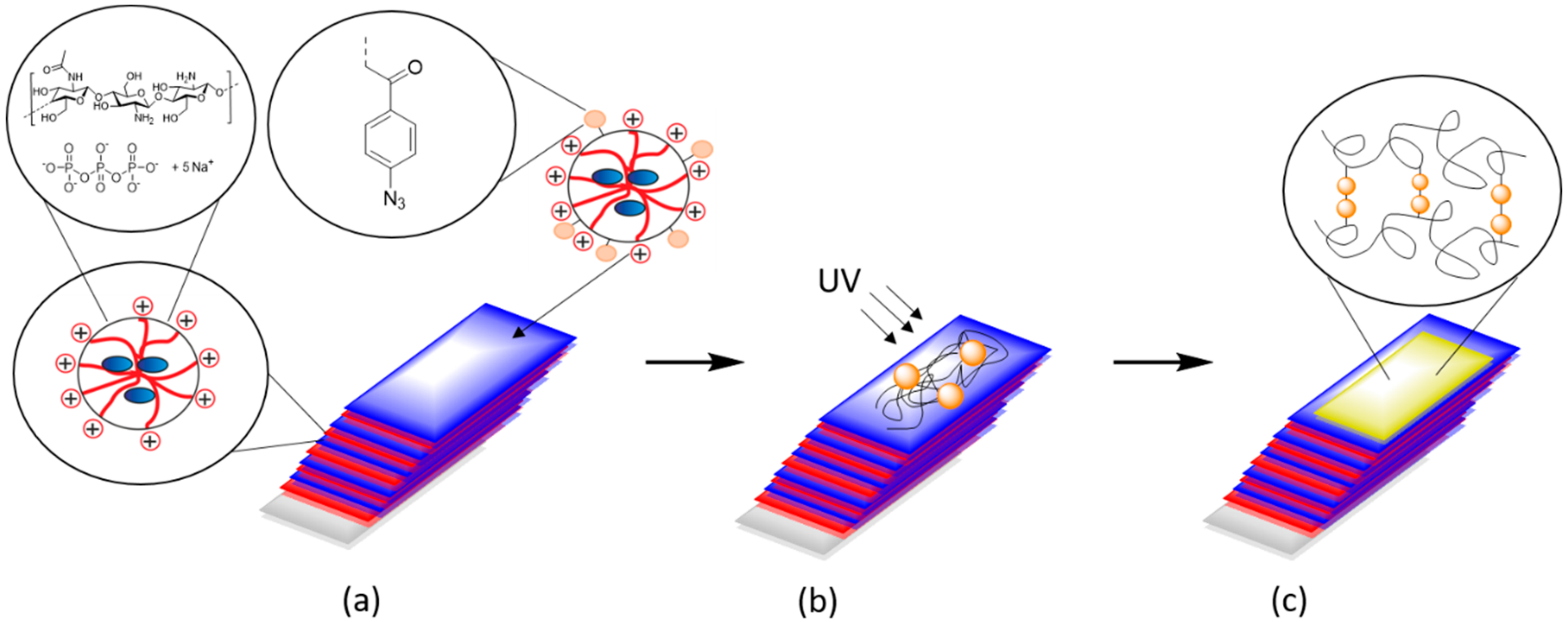 Biomolecules 09 00573 sch001 Biomolecules 09 00573 sch001