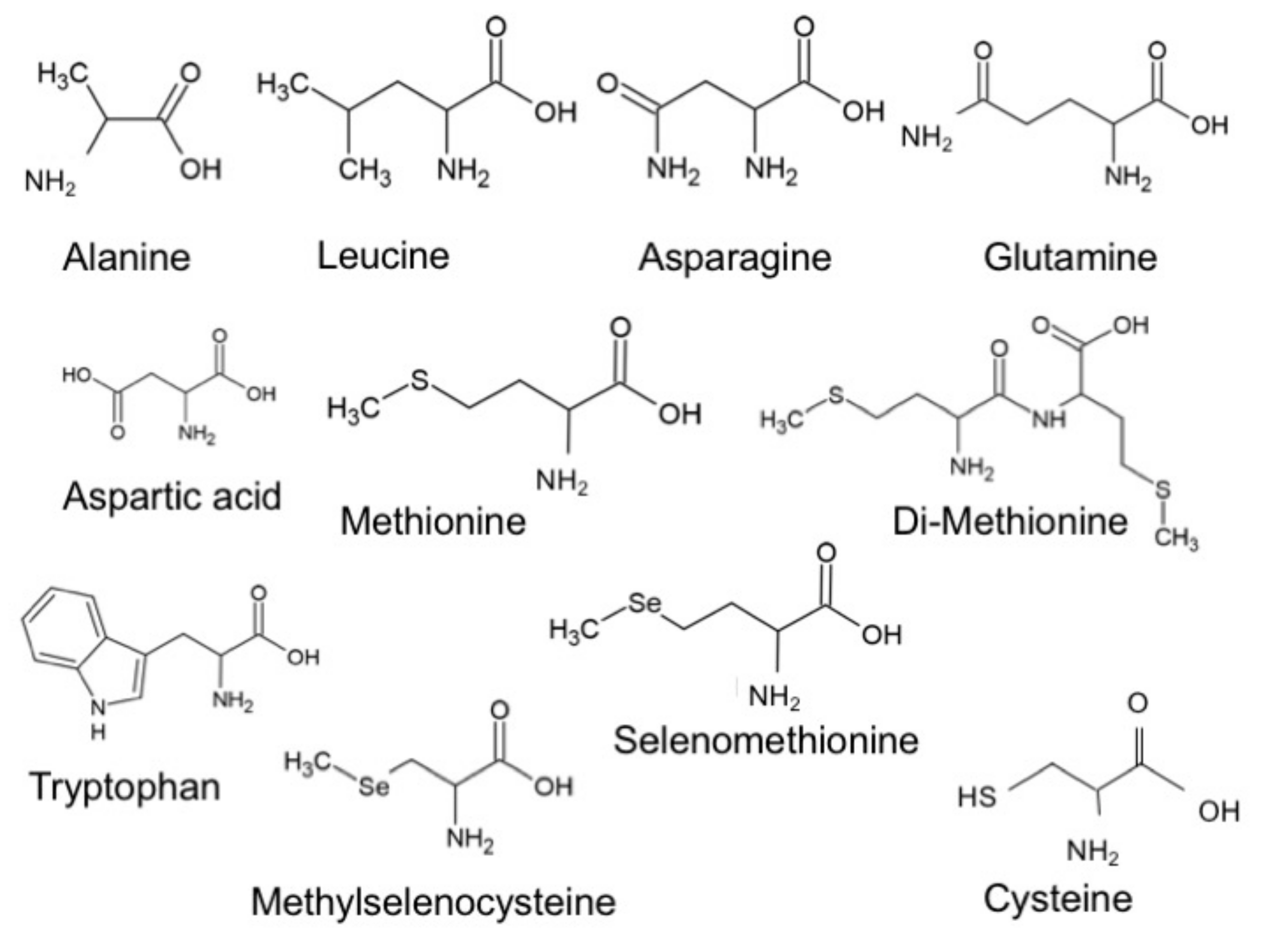 Biomolecules Free FullText Can One Define the Conductance of Amino Acids?