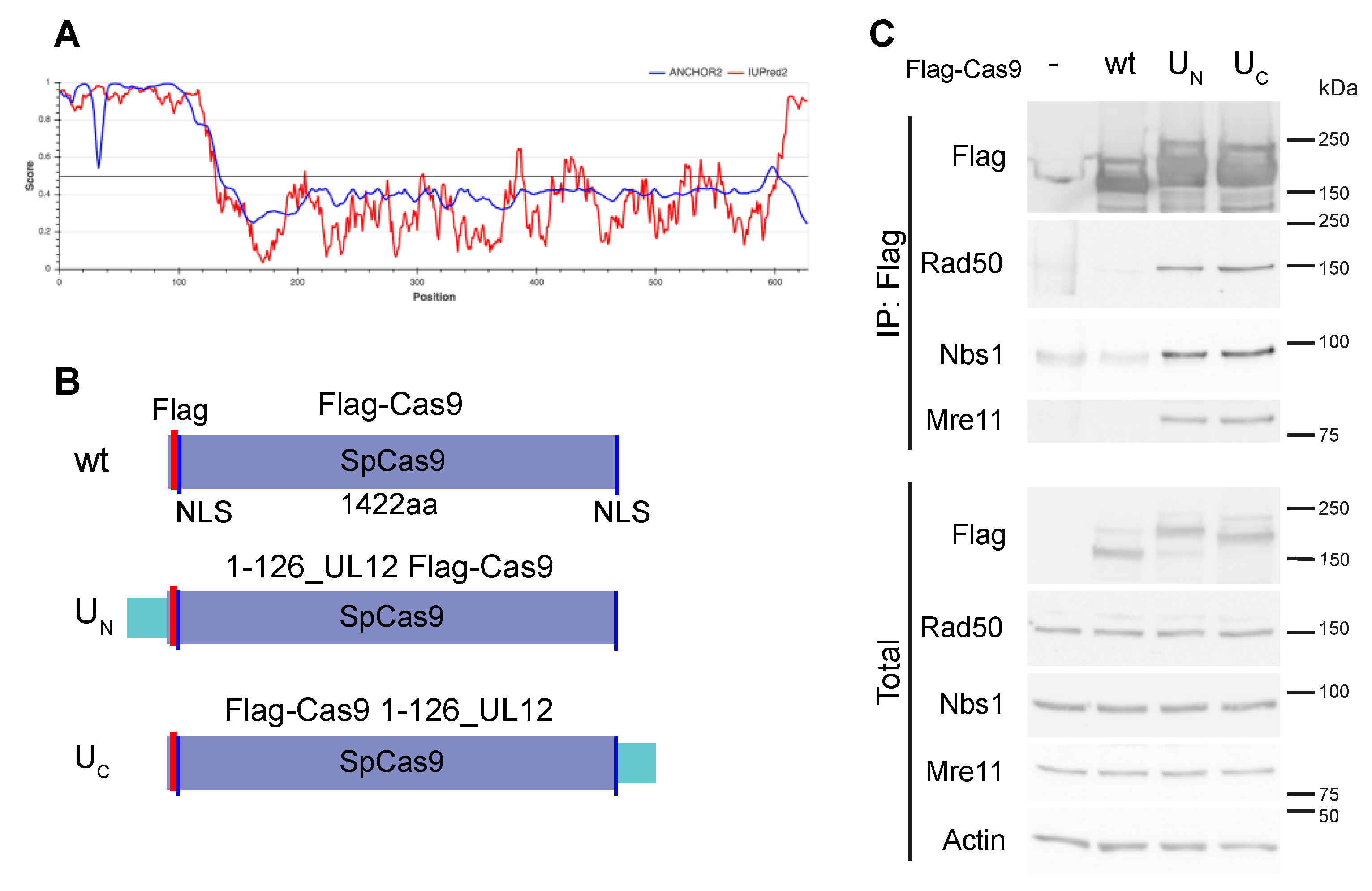 Biomolecules 09 00584 g001 Biomolecules 09 00584 g001