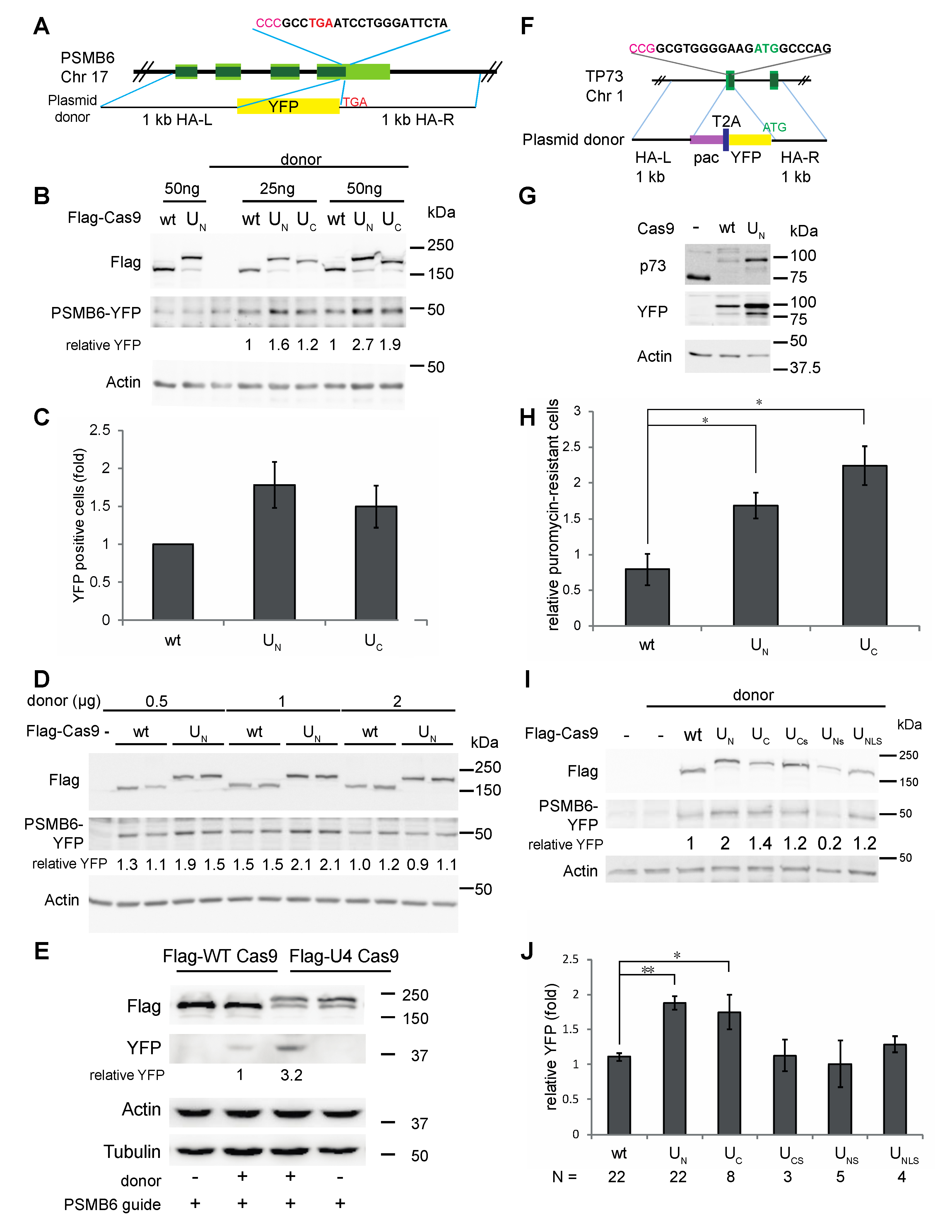 Biomolecules 09 00584 g003 Biomolecules 09 00584 g003