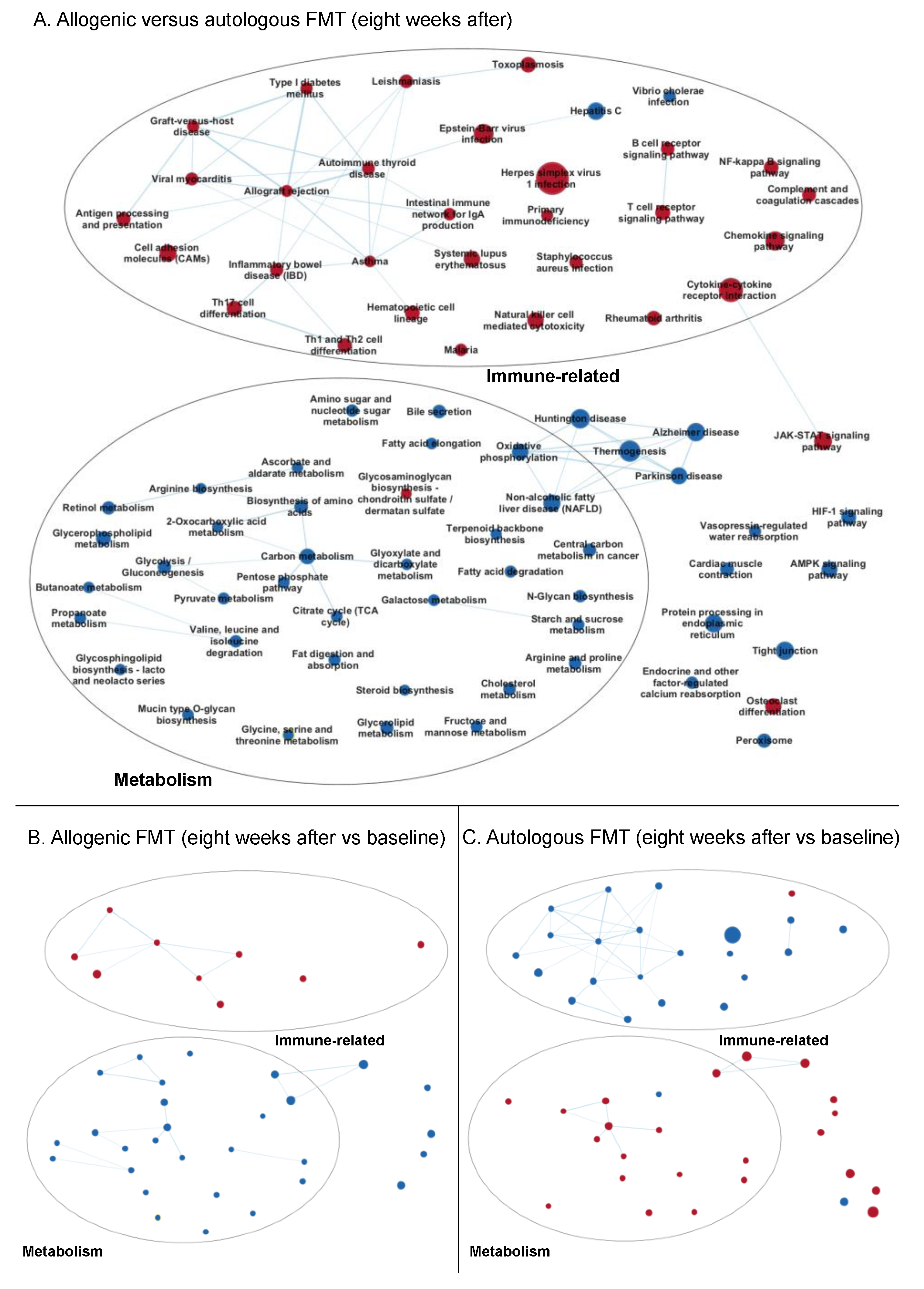 Biomolecules 09 00586 g004