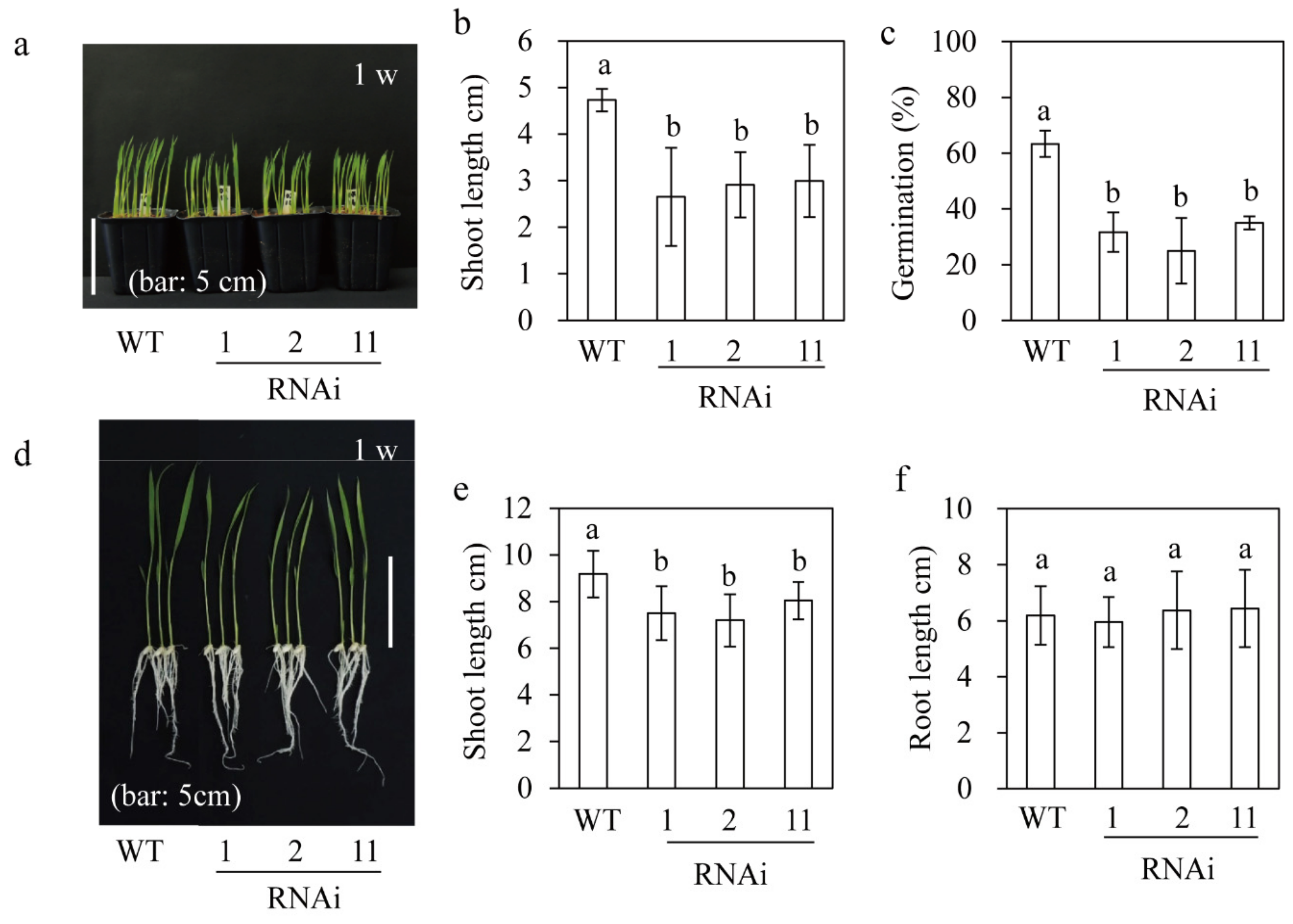 Biomolecules 09 00589 g004