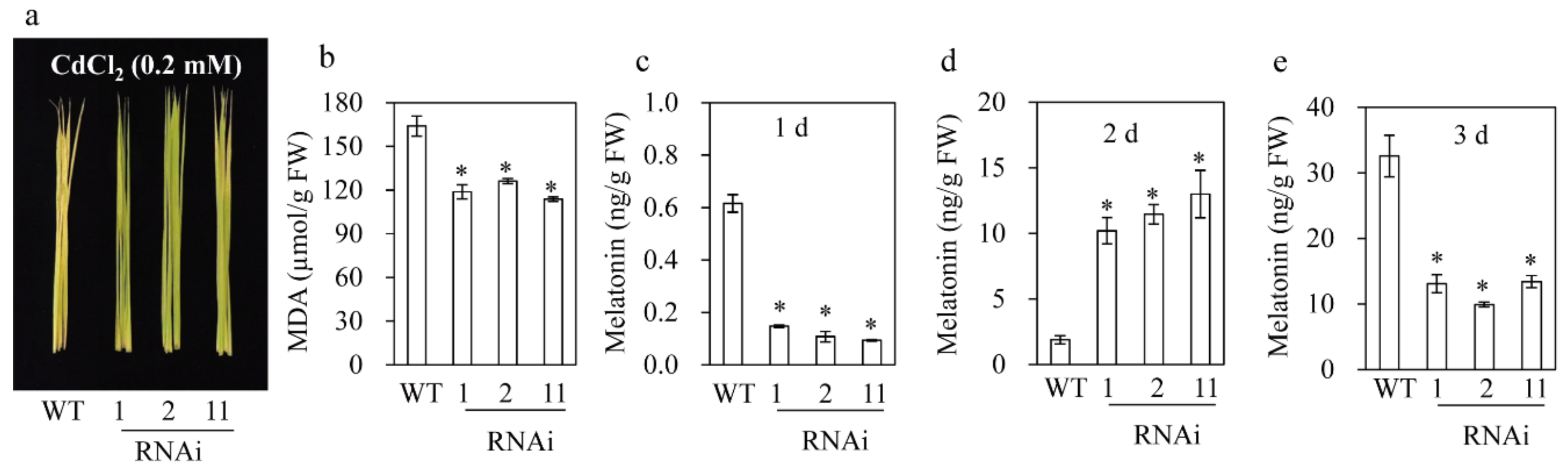 Biomolecules 09 00589 g006