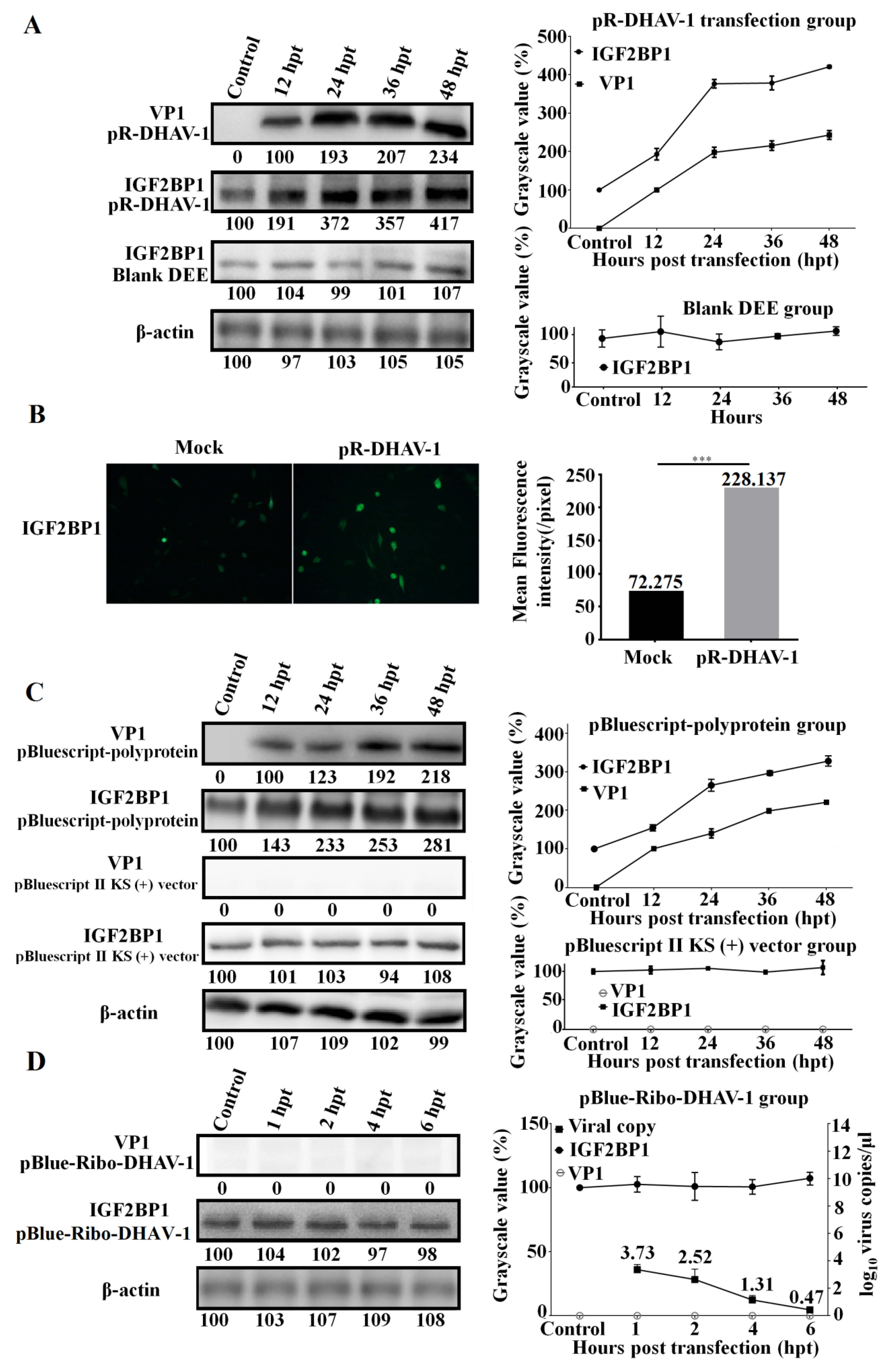Biomolecules 09 00594 g004 Biomolecules 09 00594 g004