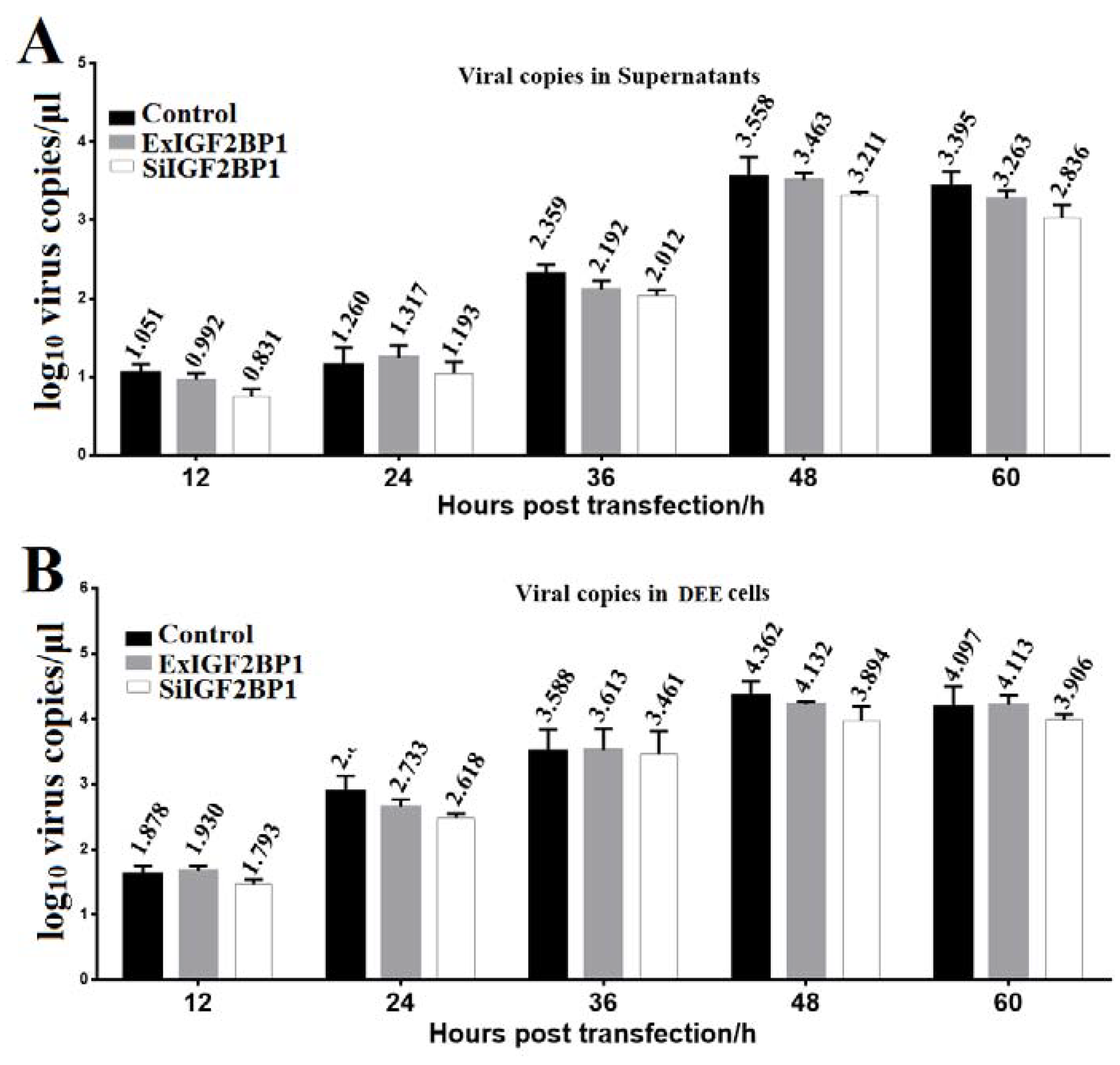 Biomolecules 09 00594 g005 Biomolecules 09 00594 g005