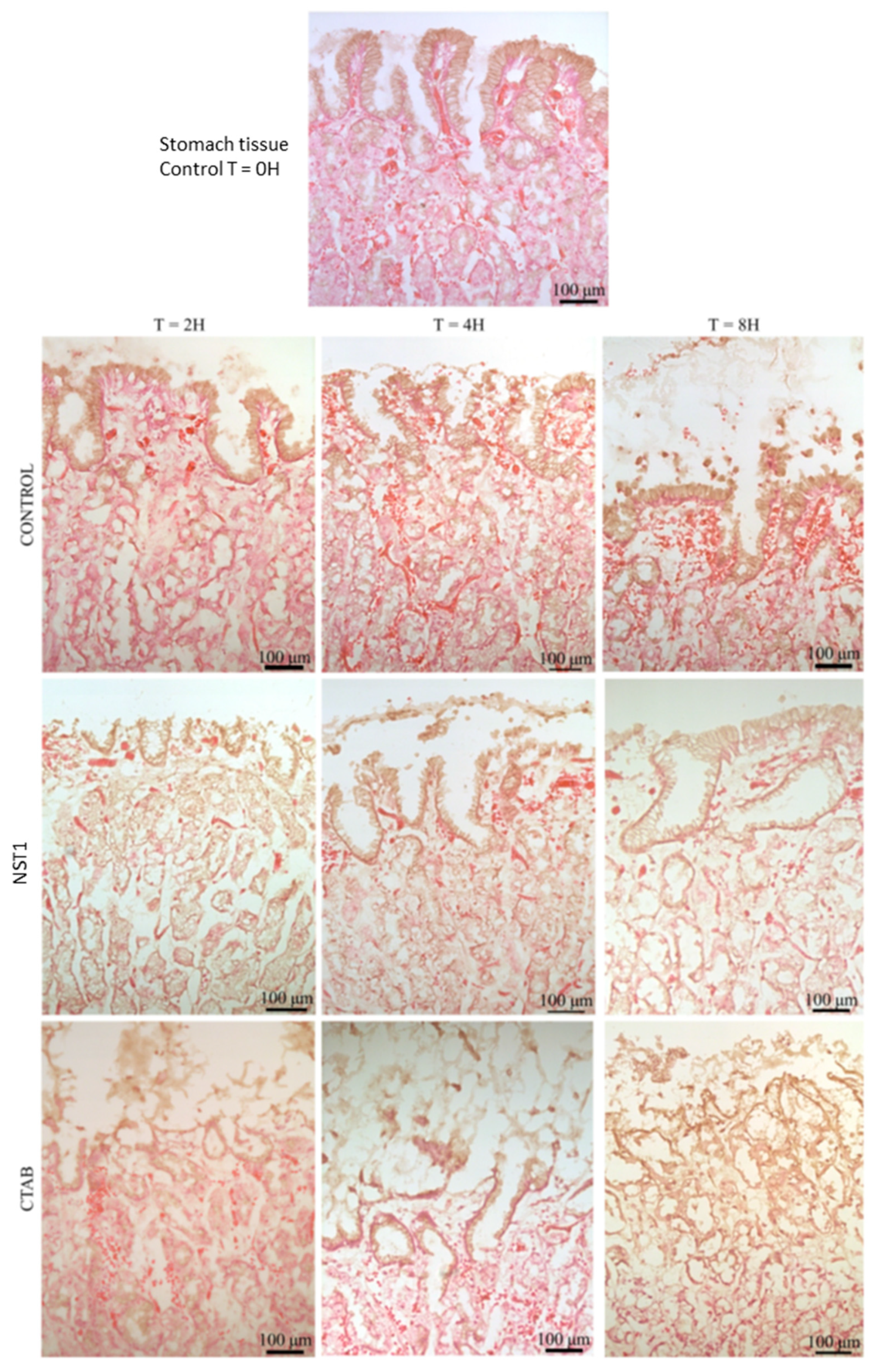 Biomolecules 09 00598 g011