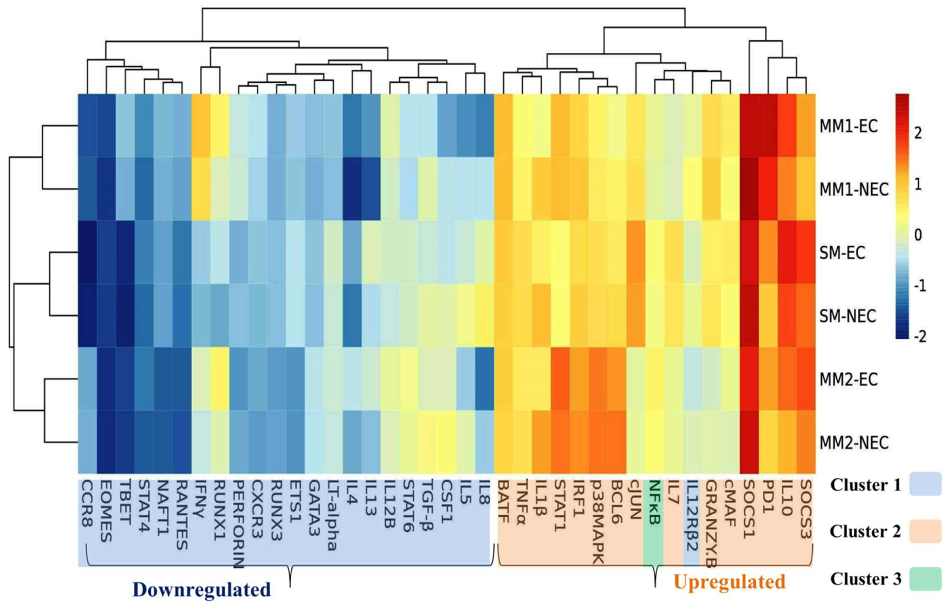 Biomolecules 09 00600 g005