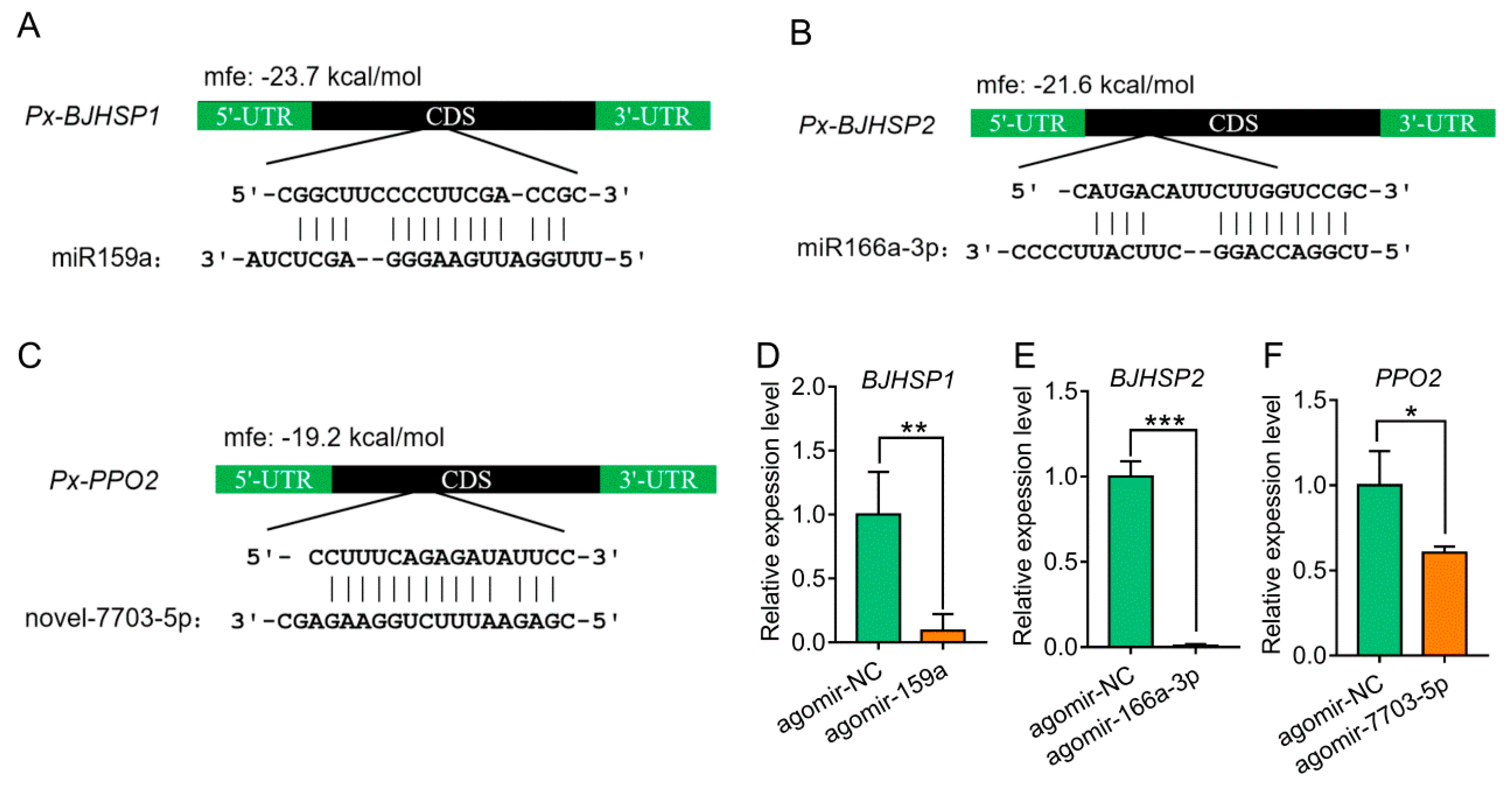 Biomolecules 09 00602 g002