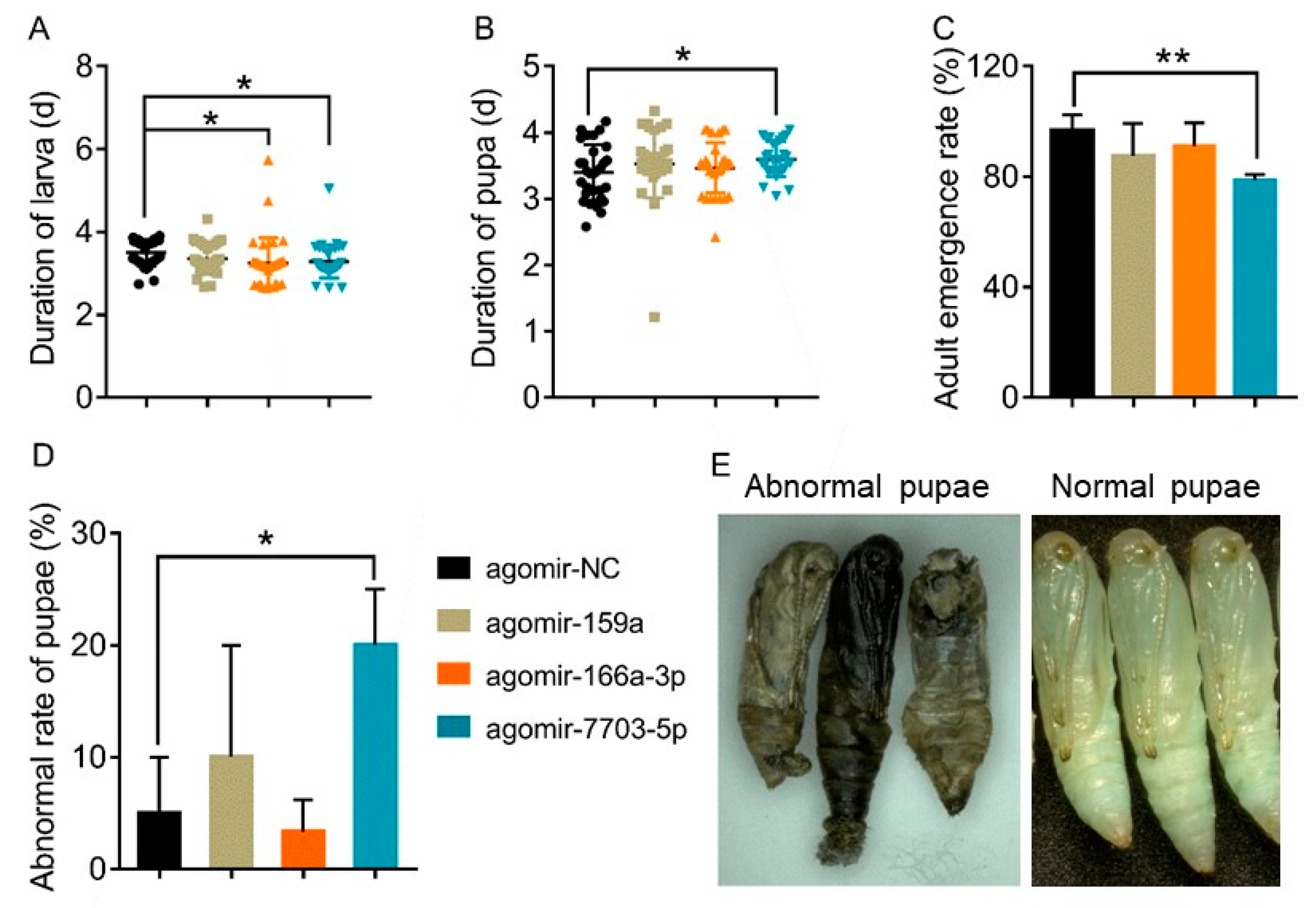 Biomolecules 09 00602 g005