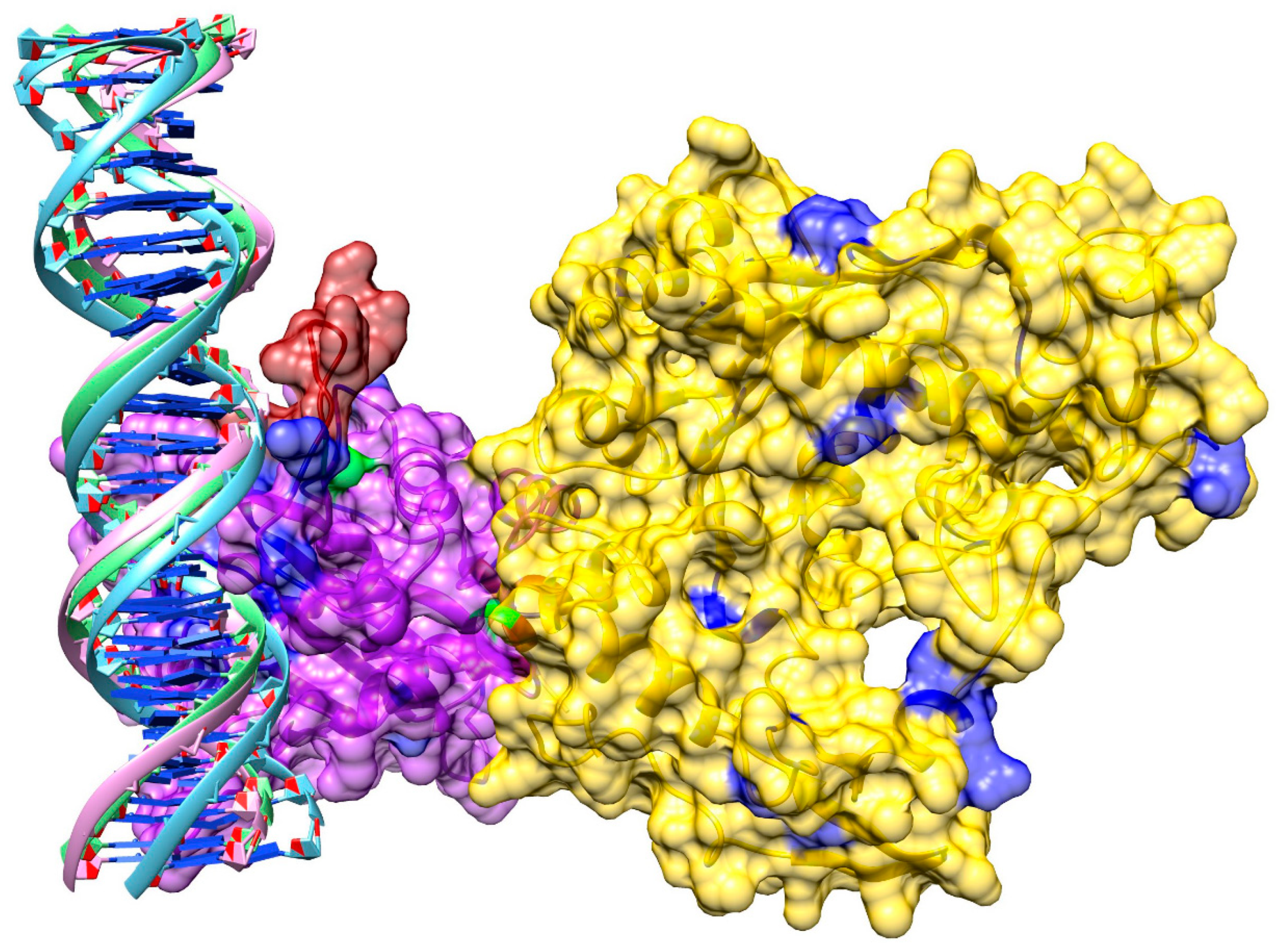 Biomolecules 09 00603 g009 Biomolecules 09 00603 g009