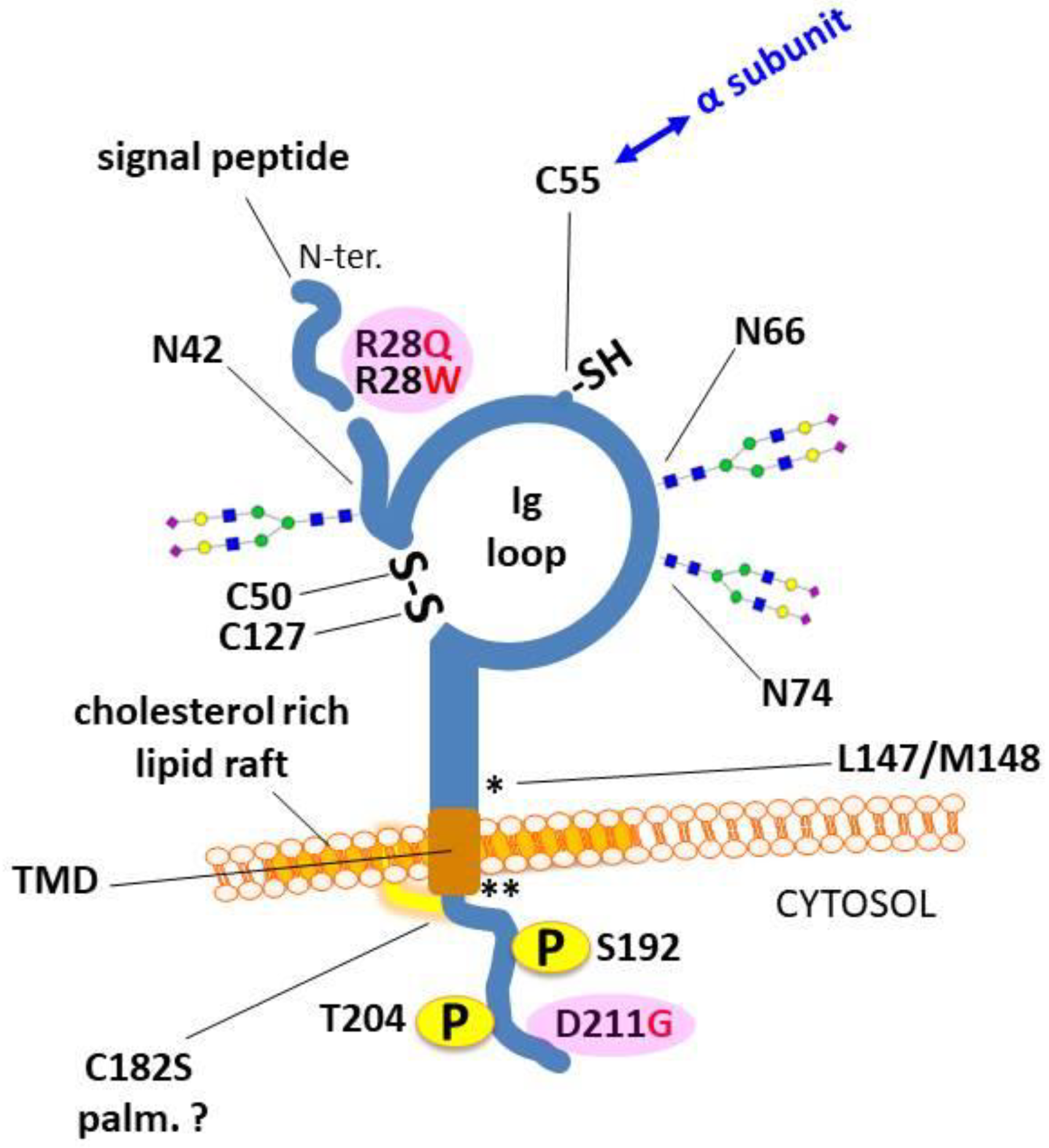 Biomolecules 09 00604 g004 Biomolecules 09 00604 g004
