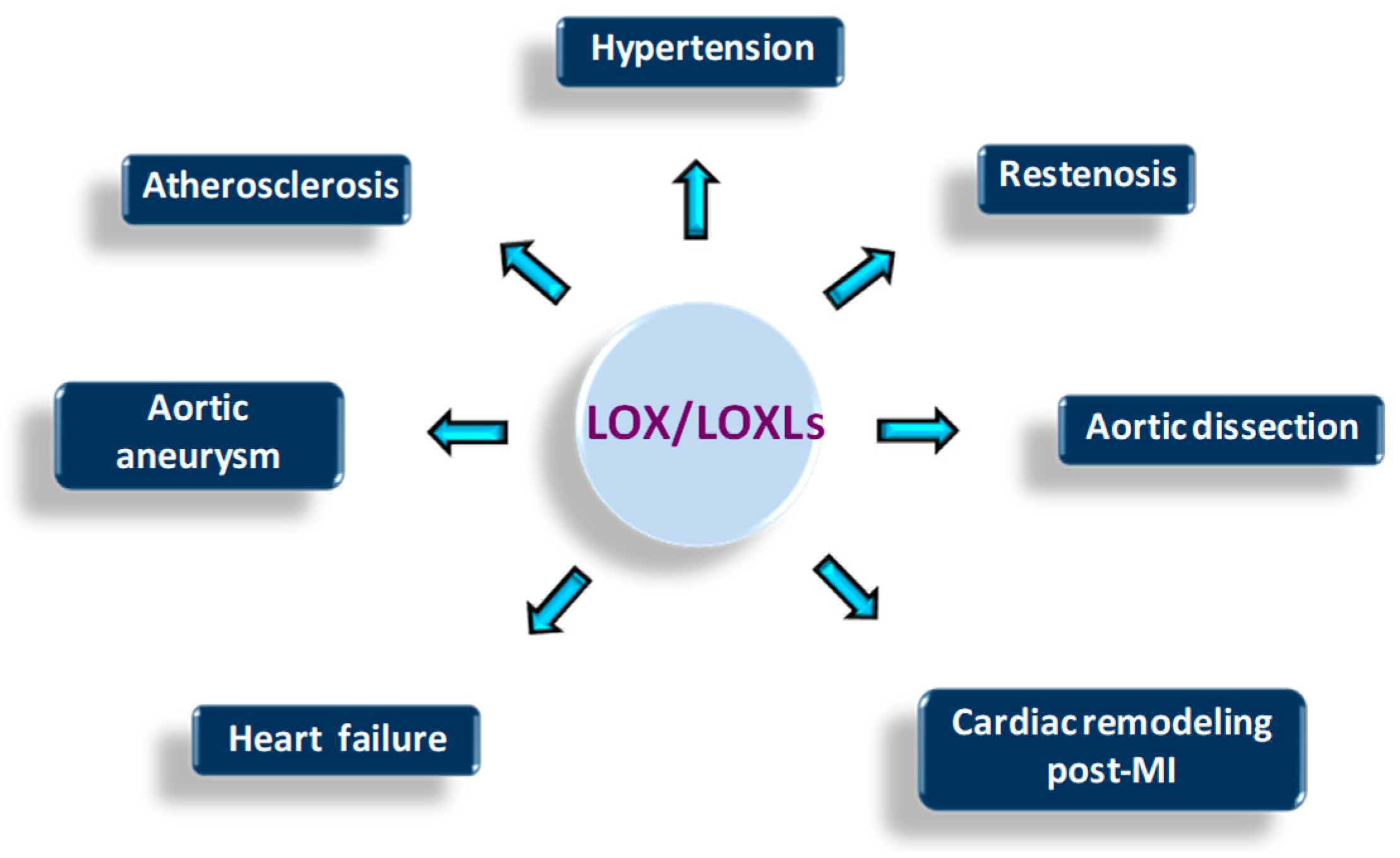 Biomolecules 09 00610 g003 Biomolecules 09 00610 g003