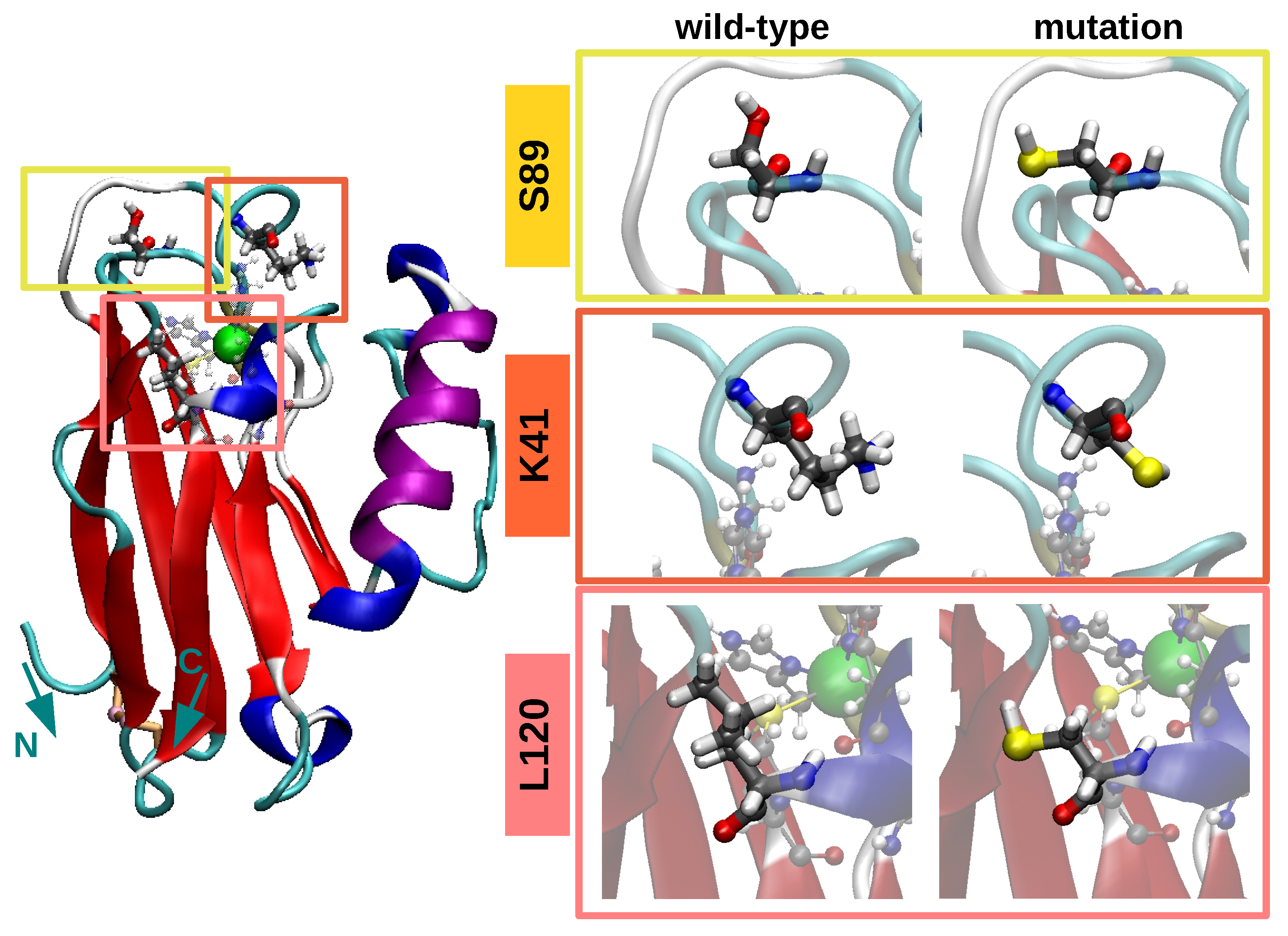 Biomolecules 09 00611 g001 Biomolecules 09 00611 g001