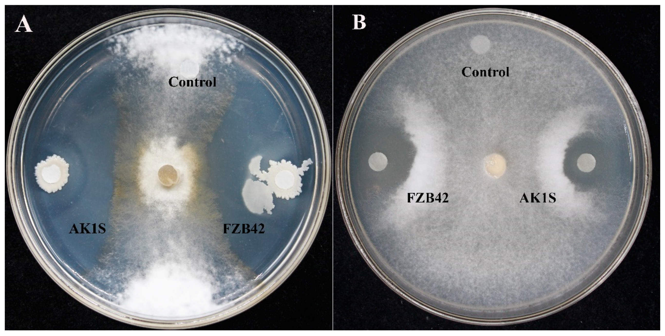 Biomolecules 09 00613 g001 Biomolecules 09 00613 g001
