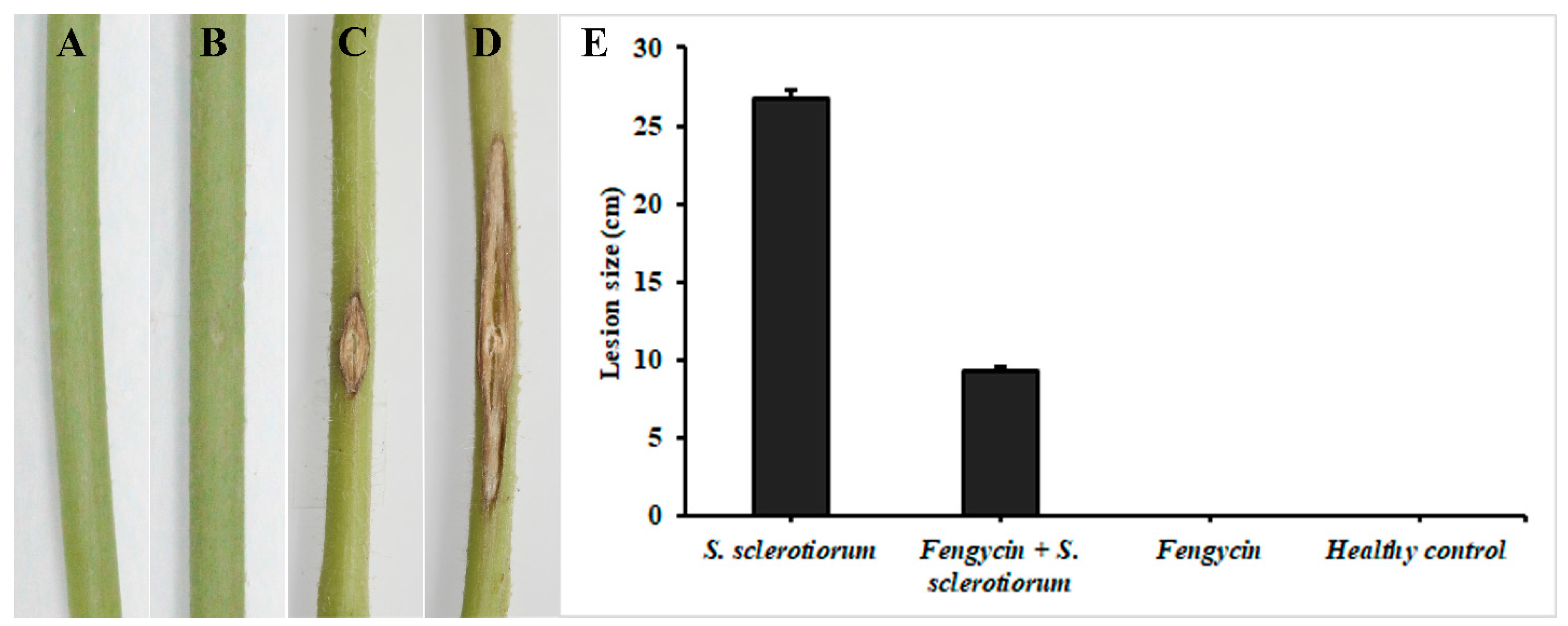 Biomolecules 09 00613 g008 Biomolecules 09 00613 g008