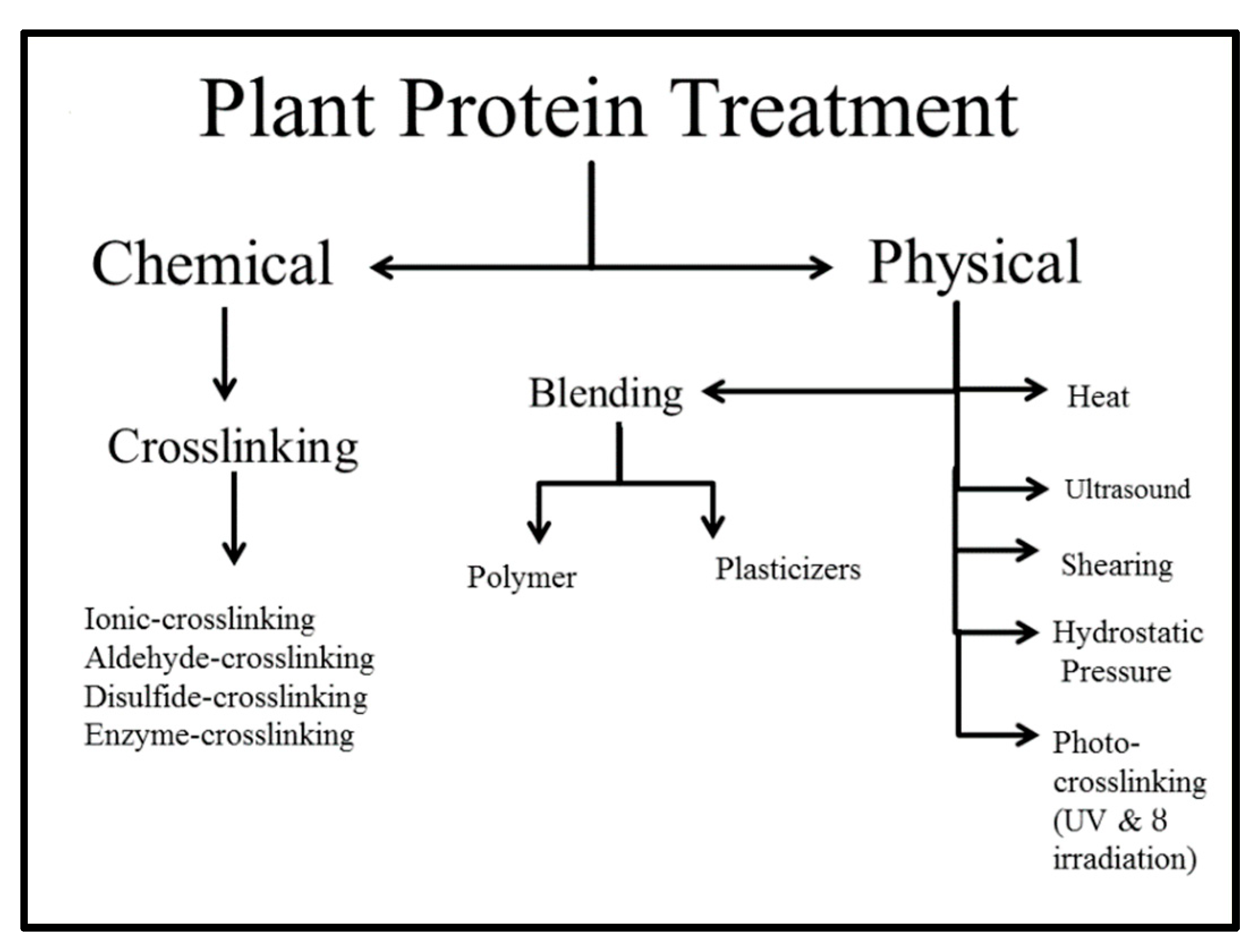 Biomolecules 09 00619 g004