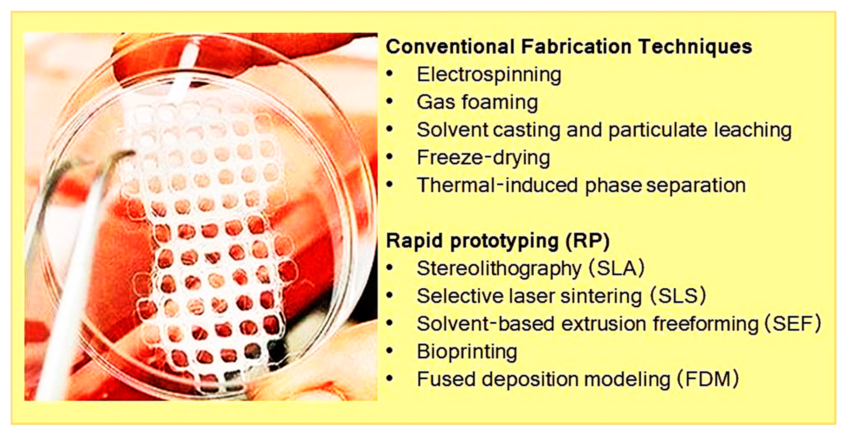 Biomolecules 09 00619 g005