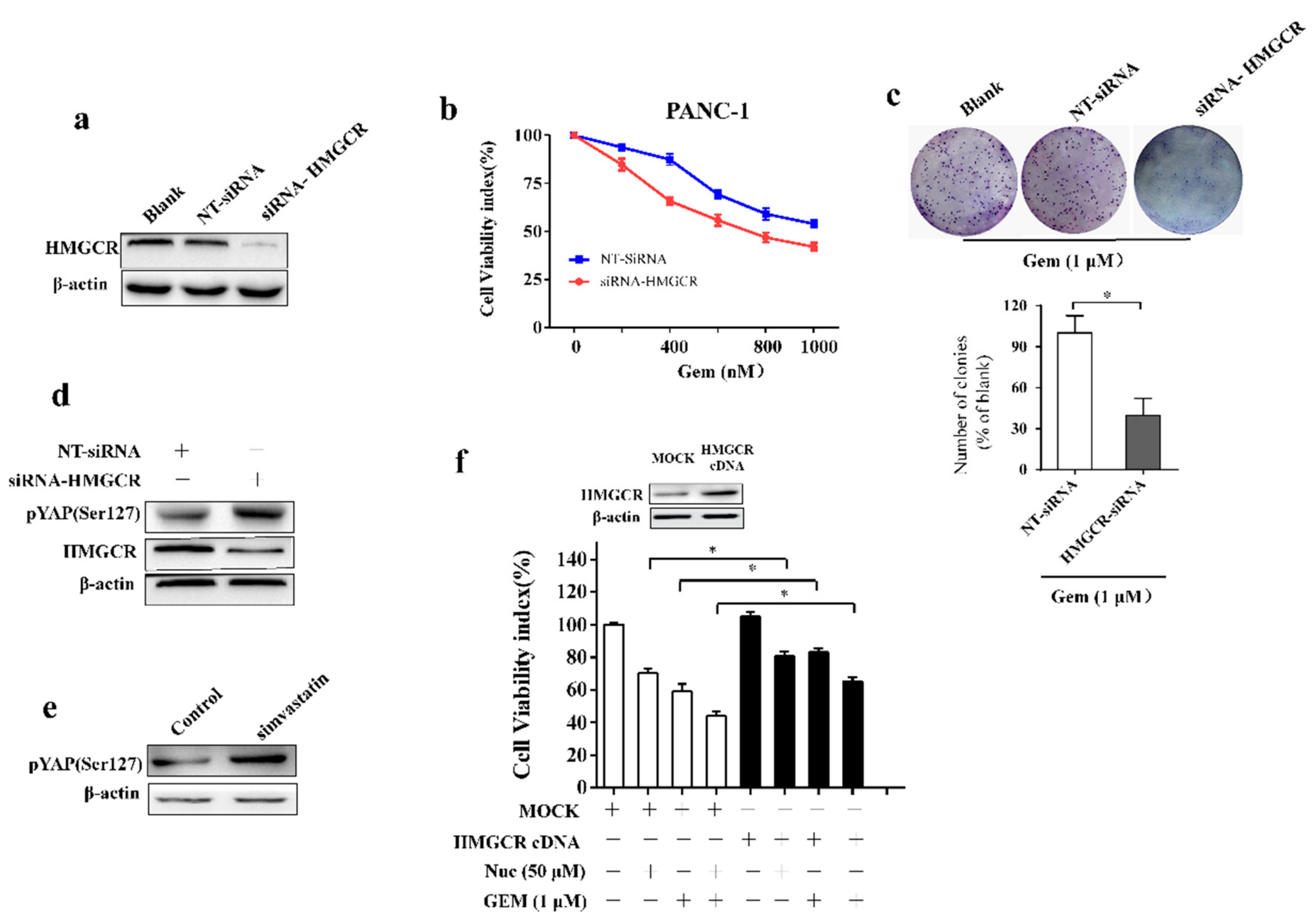 Biomolecules 09 00620 g005