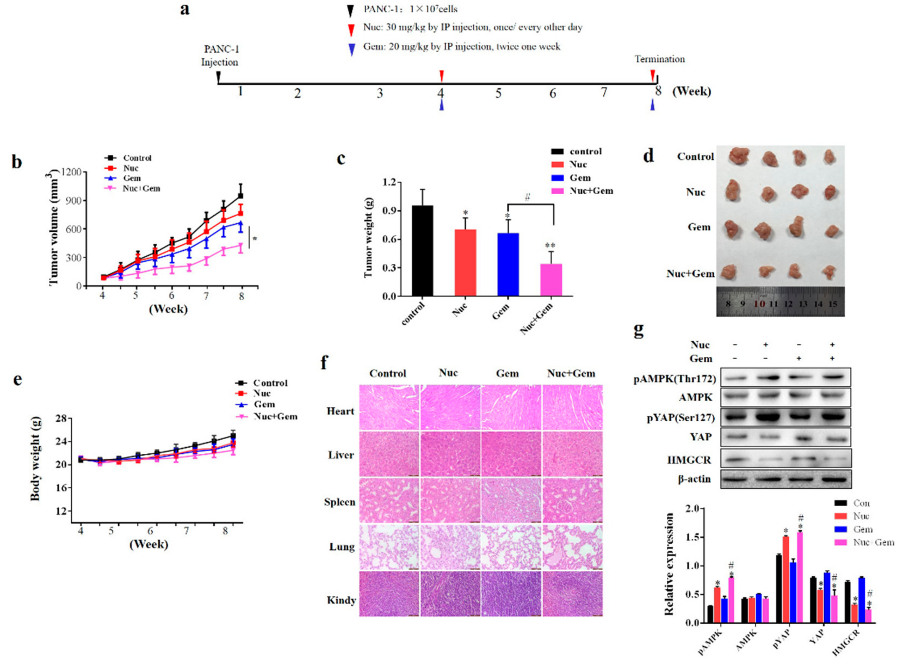 Biomolecules 09 00620 g006
